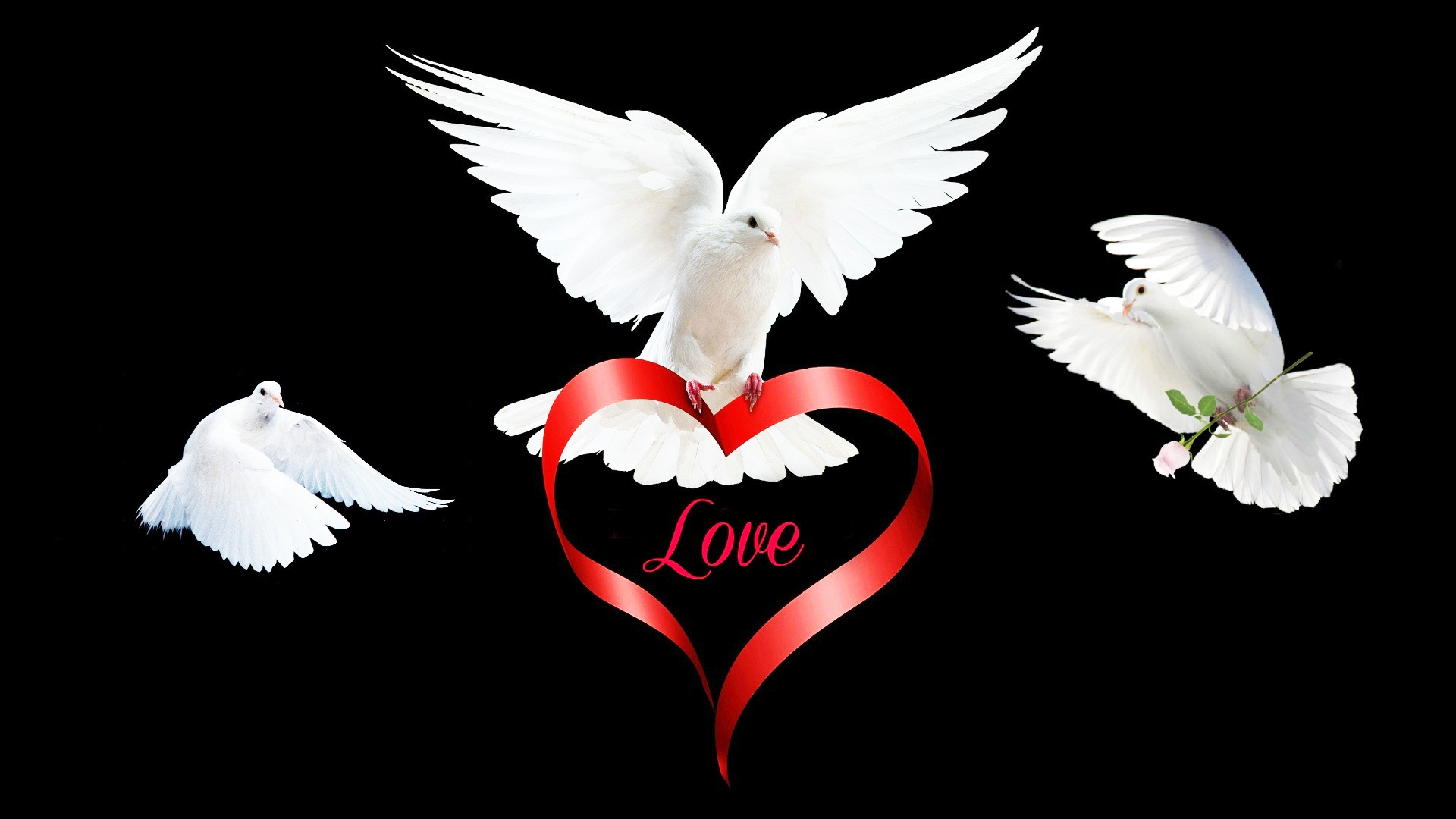 Flying Hearts Hd Wallpaper - Holy Dove , HD Wallpaper & Backgrounds