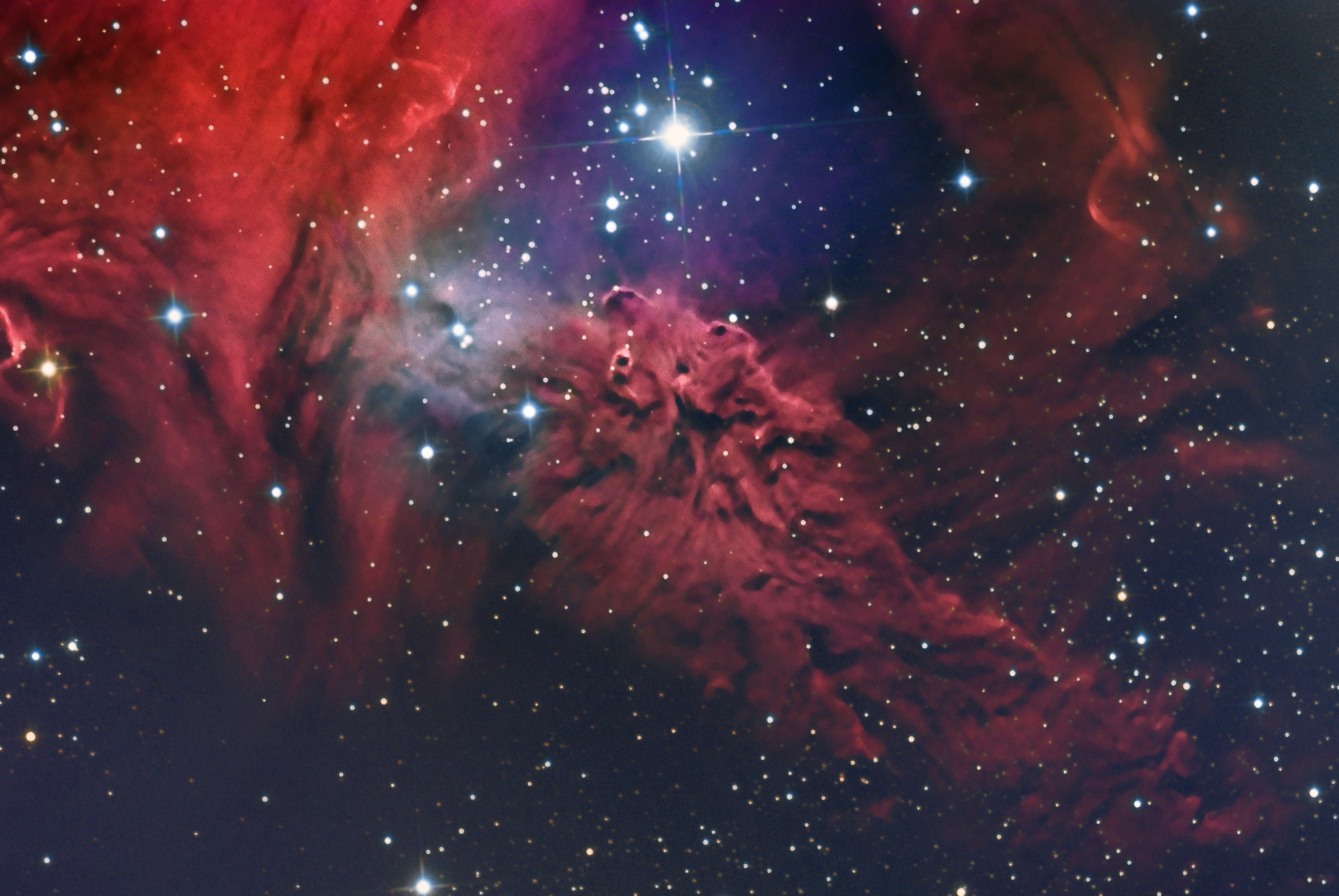 Astronomy Picture Of The Day - Fox Fur Nebula , HD Wallpaper & Backgrounds