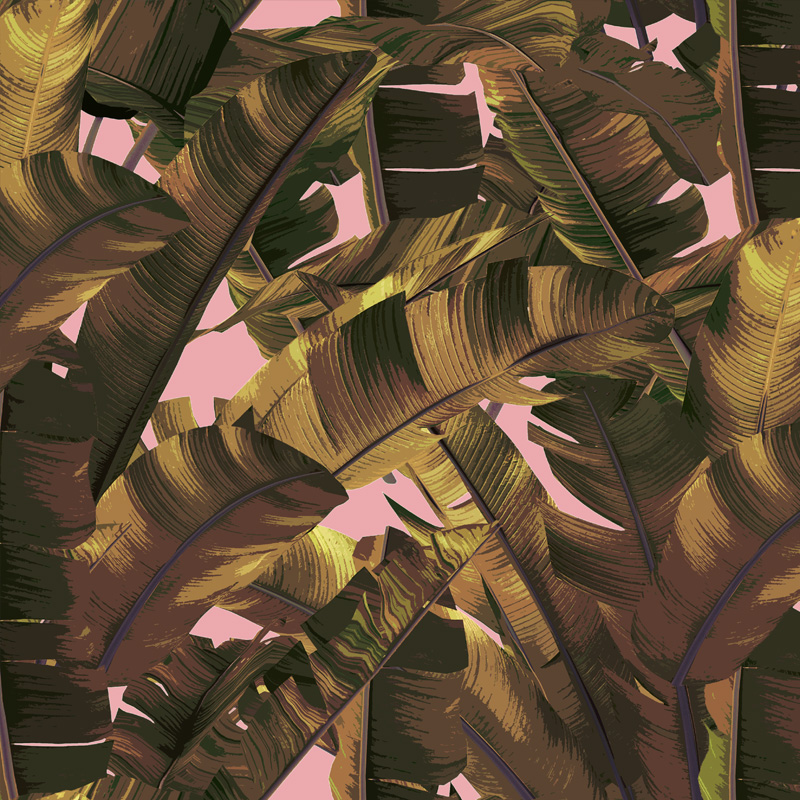 Designs - Tropical Jungle , HD Wallpaper & Backgrounds