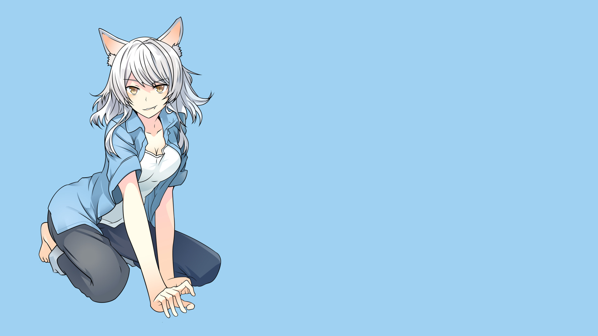 Anime Girls, Anime, Hanekawa Tsubasa, Monogatari Series, - Cartoon , HD Wallpaper & Backgrounds