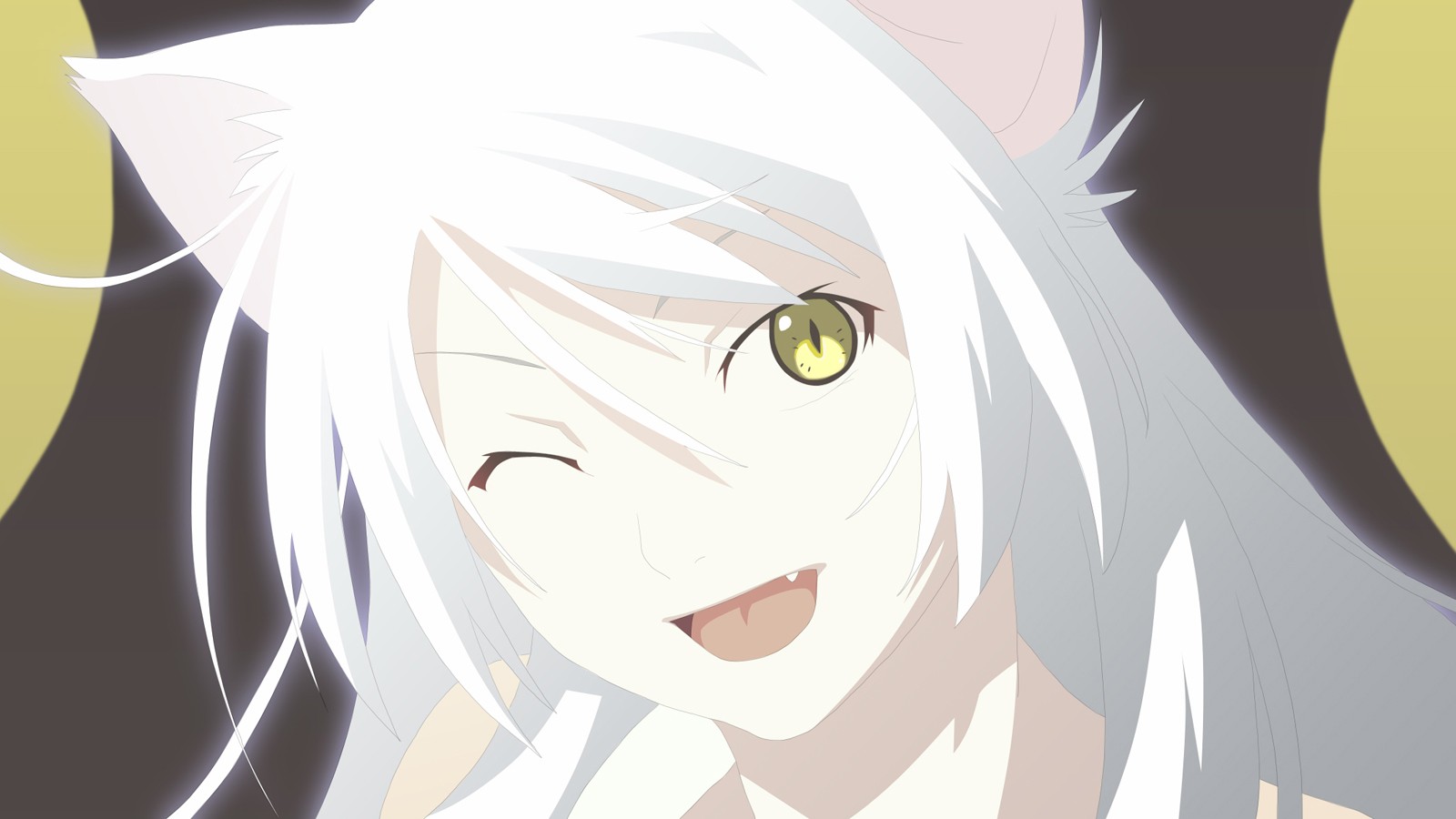 Hanekawa Tsubasa Monogatari Series Cat Anime Girls - White Haired Catgirl Anime , HD Wallpaper & Backgrounds
