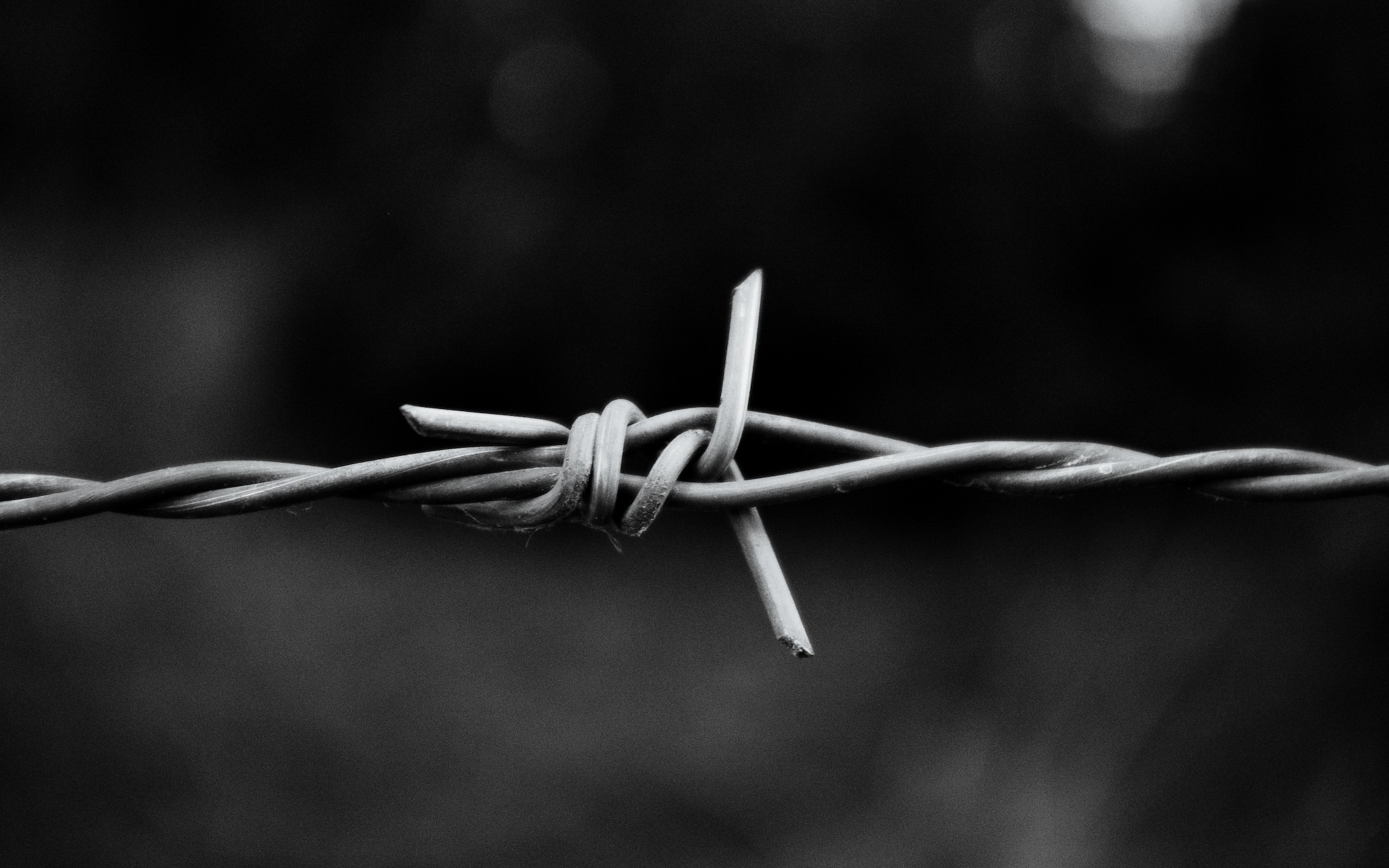 Barbed Wire - Black And White Barbed Wire , HD Wallpaper & Backgrounds