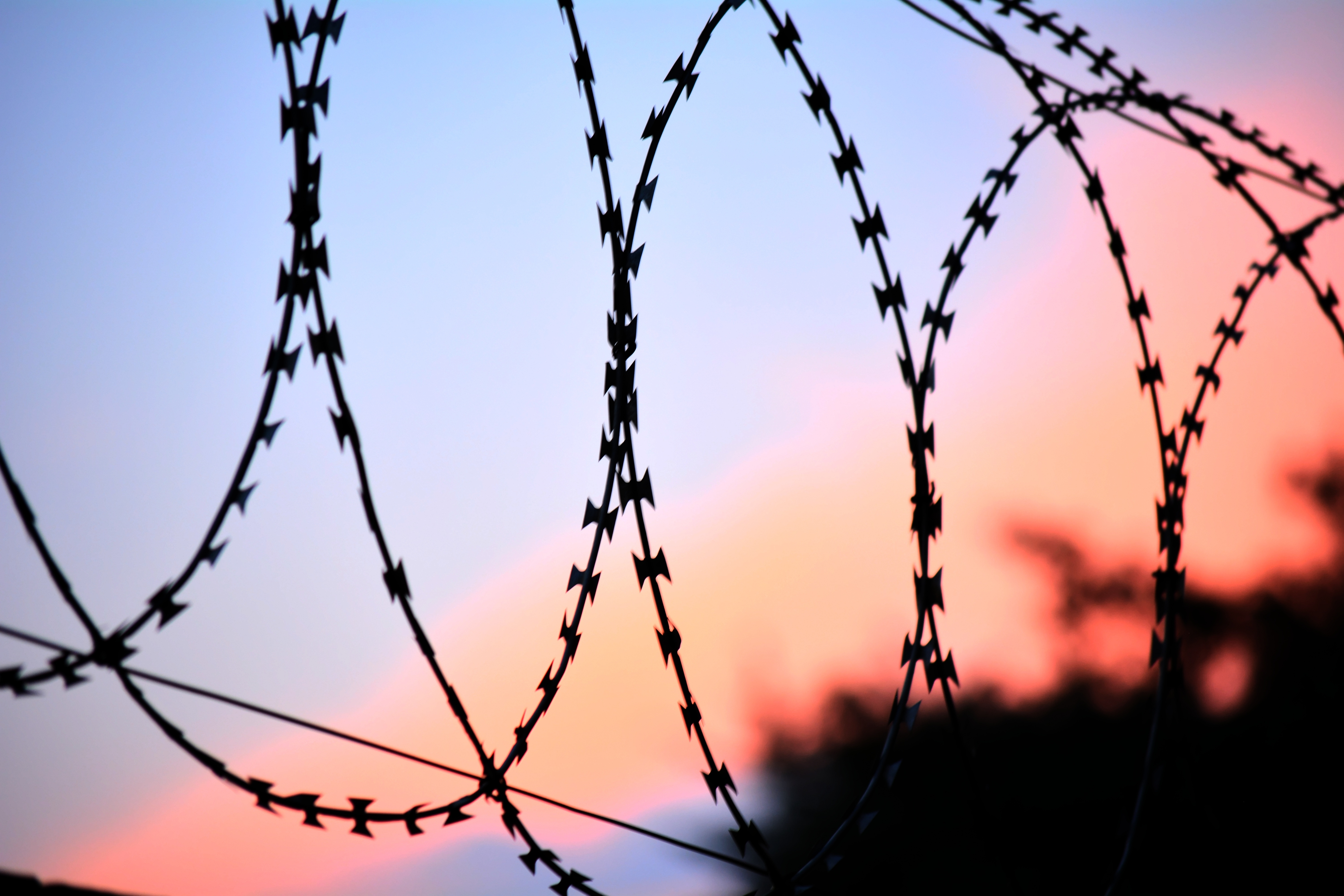 Sky, Blurred, Barbed Wire, Fence - Wire Netting , HD Wallpaper & Backgrounds