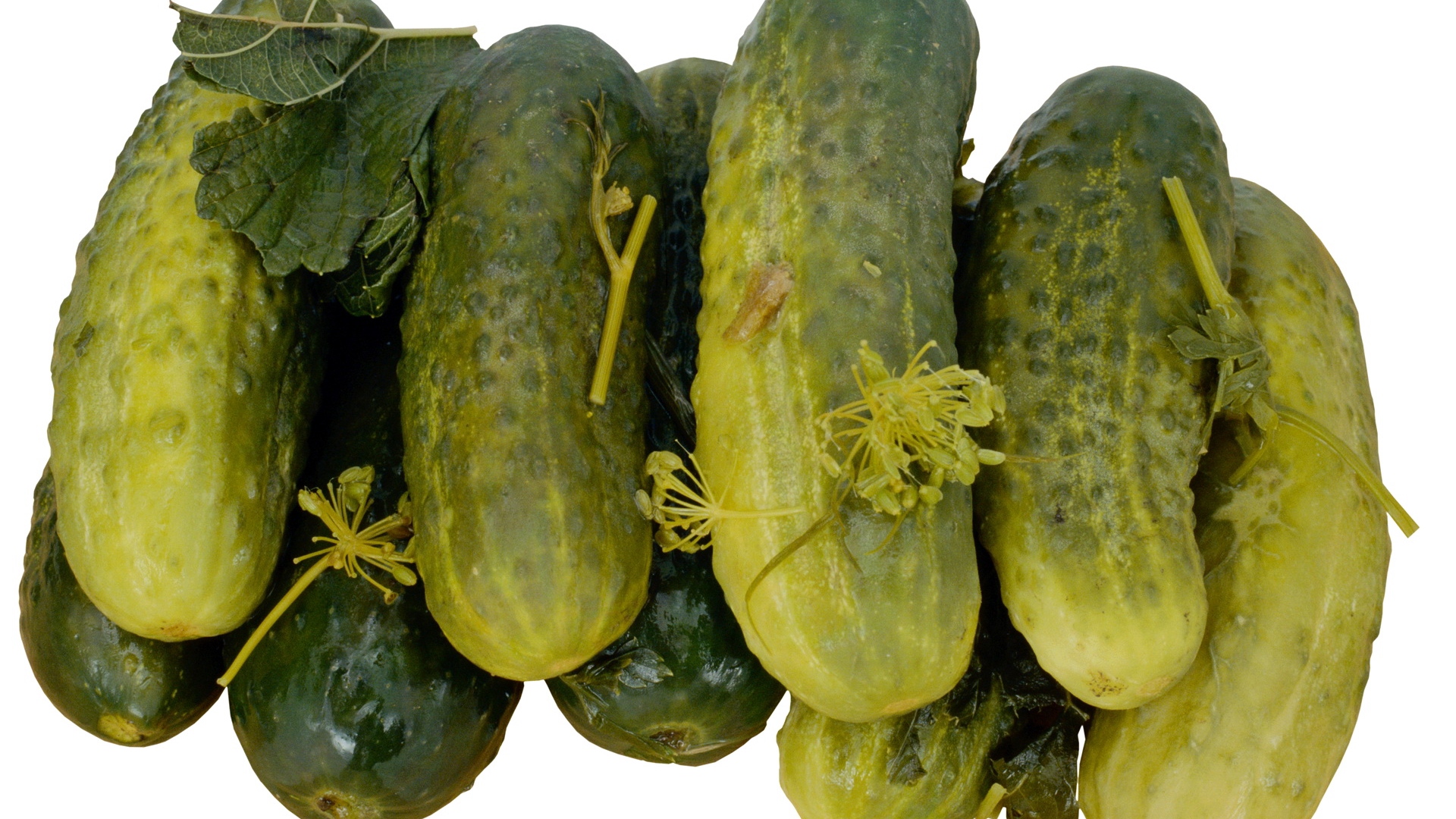 Download Wallpaper Cucumbers Pickles Salted Pickled - Огурец Маринованный , HD Wallpaper & Backgrounds