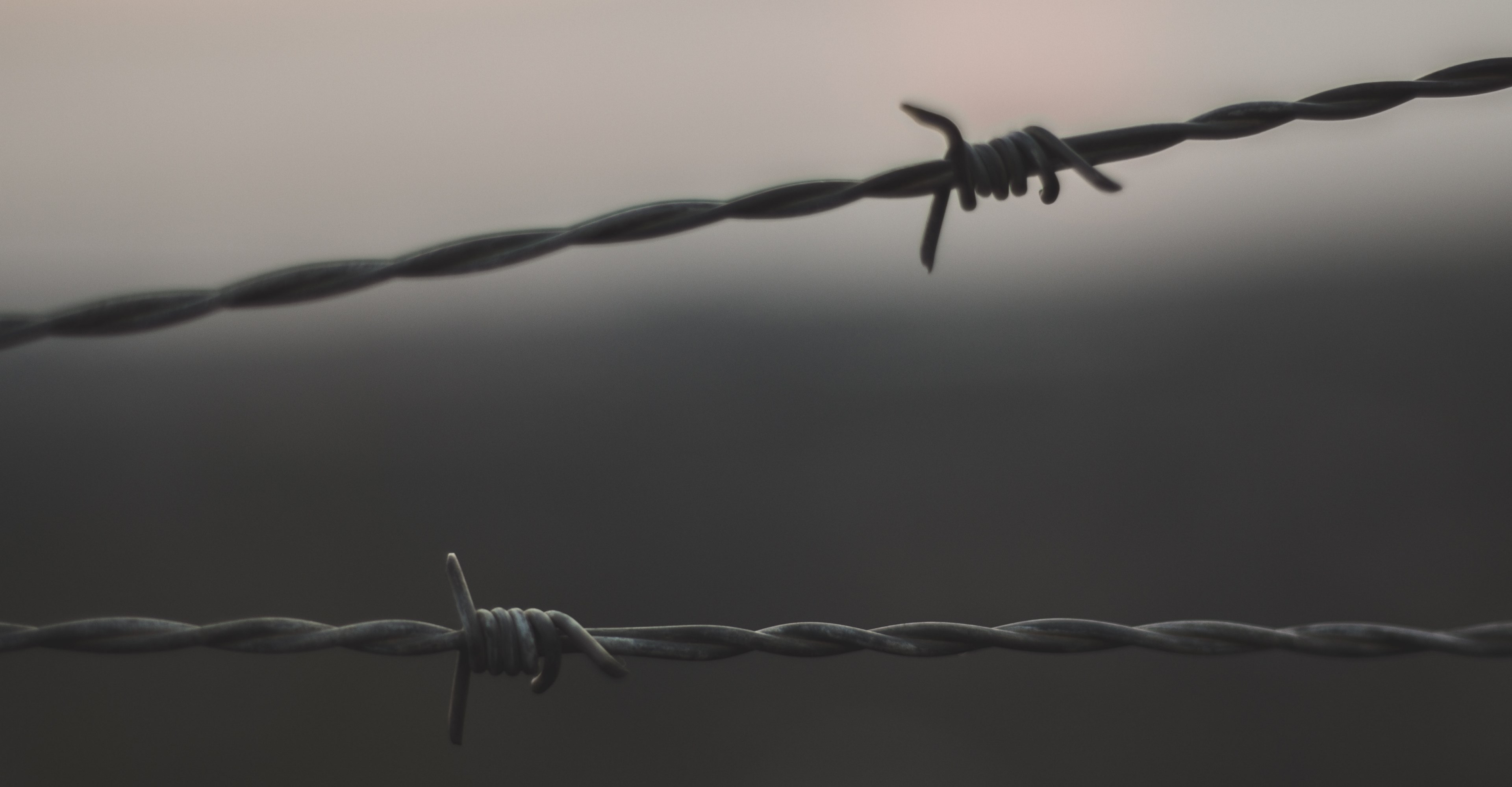 #3840x1998 Wire Barbwire Barbed Wire And Fence Hd 4k - Barbed Wire Pow , HD Wallpaper & Backgrounds