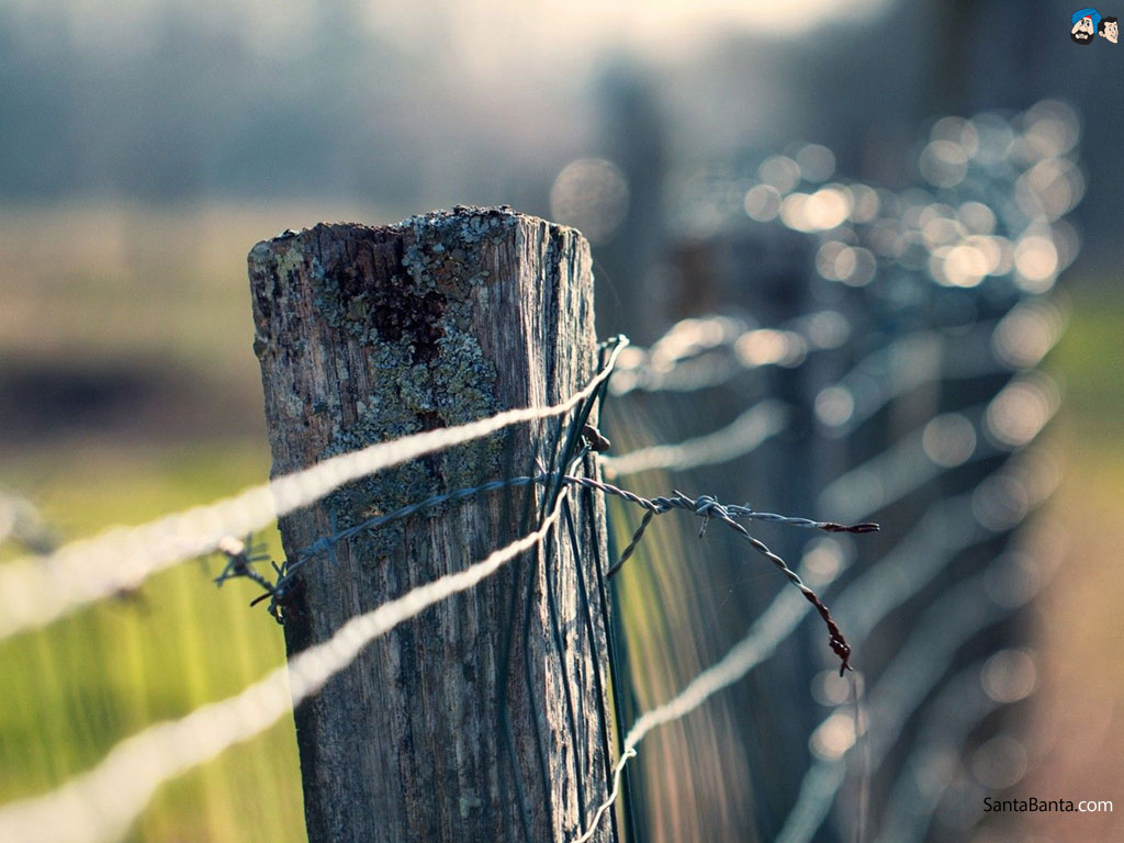 Download Full Wallpaper - Barbed Wire Fence , HD Wallpaper & Backgrounds