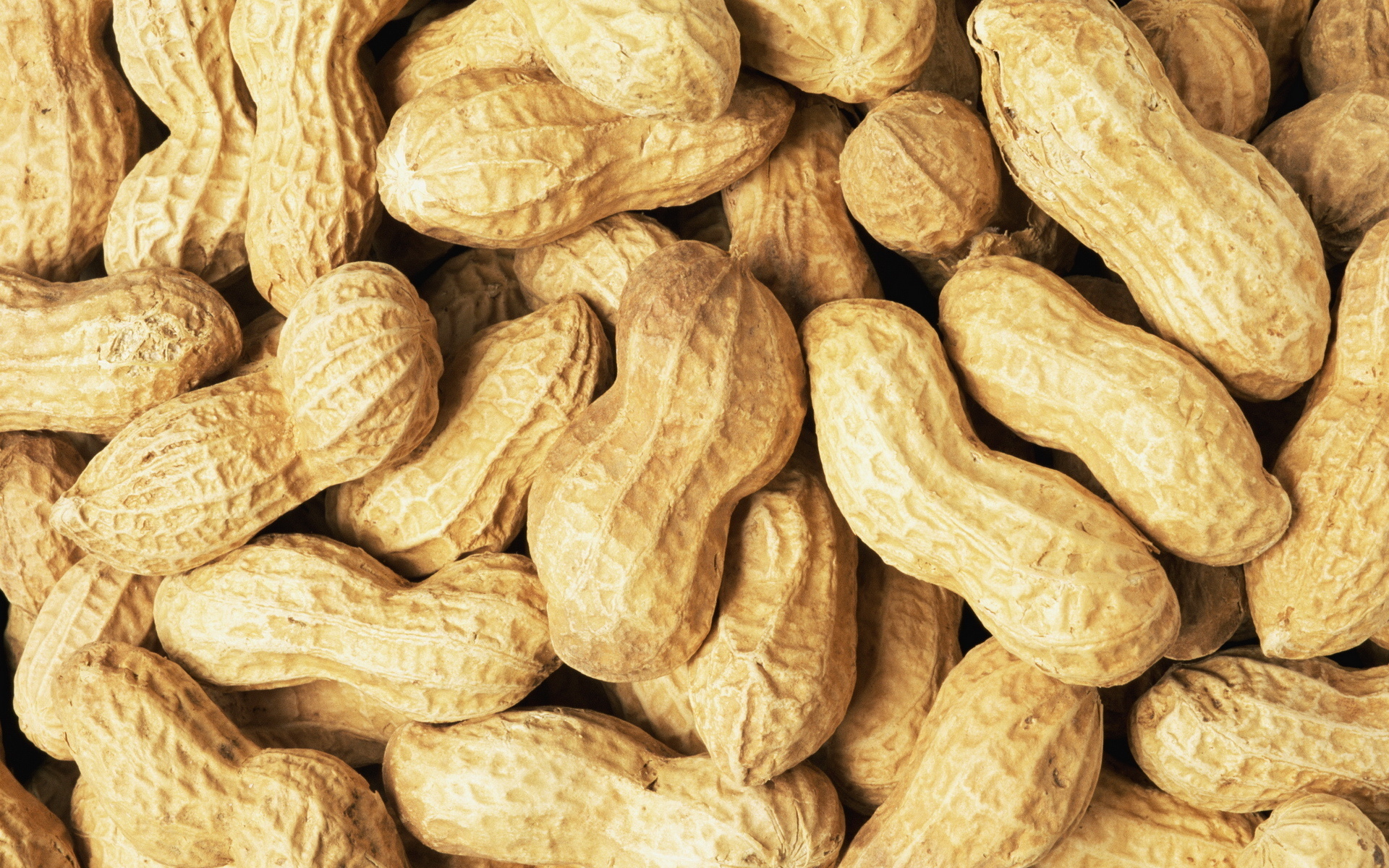 Peanut Wallpapers - Peanut Background Hd , HD Wallpaper & Backgrounds