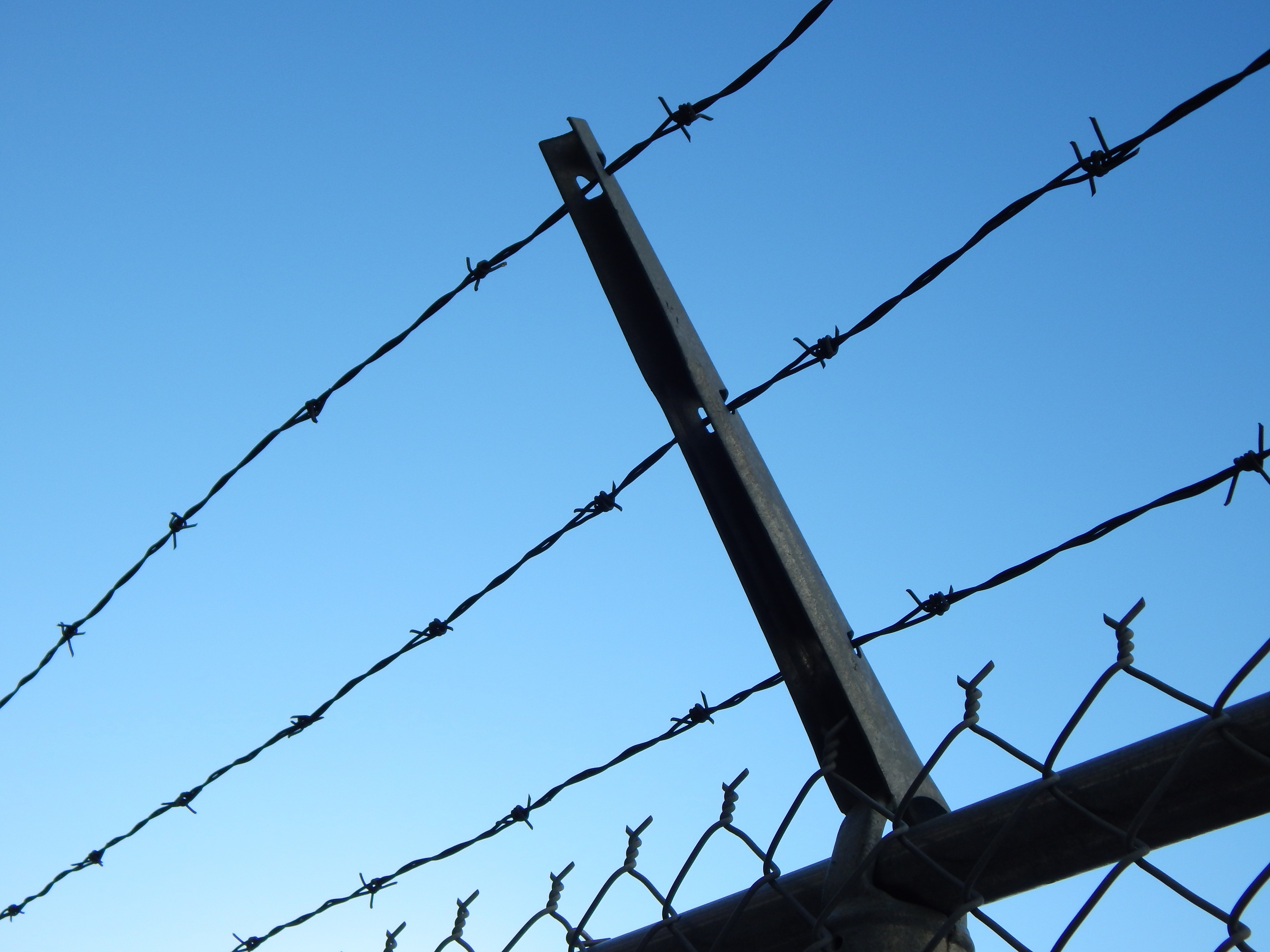 Barbed Wire Fence Preview - Install Barbed Wire , HD Wallpaper & Backgrounds