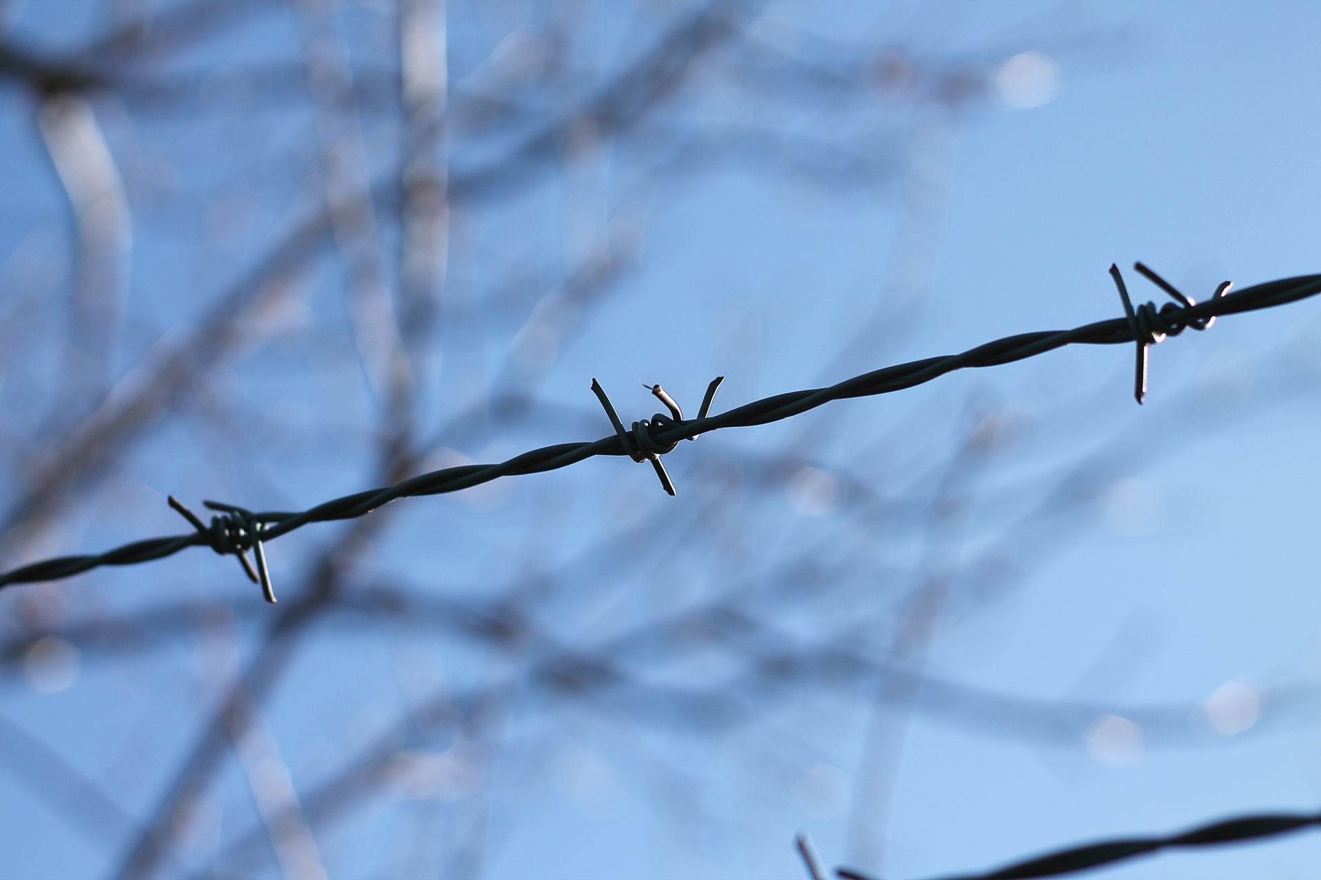 Barbed Wire Fence - Barbed Wire , HD Wallpaper & Backgrounds