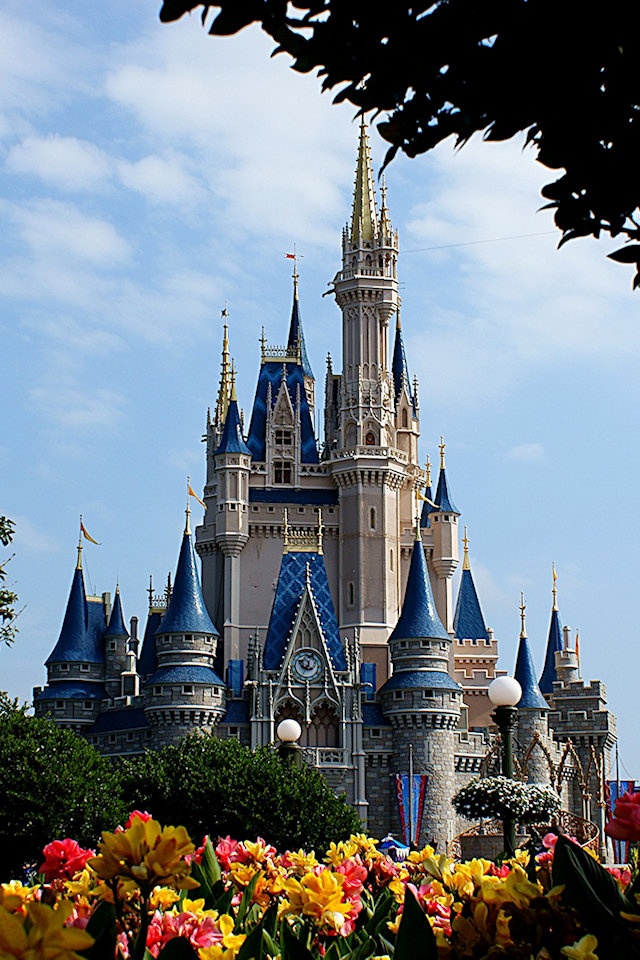 Disney World Castle Iphone Wallpaper , HD Wallpaper & Backgrounds