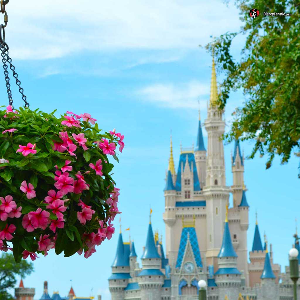 Iphone - Disney World, Cinderella Castle , HD Wallpaper & Backgrounds