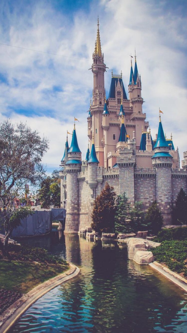 Disney Castles, Disney World Castle, Walt Disney Castle, - Disney World , HD Wallpaper & Backgrounds