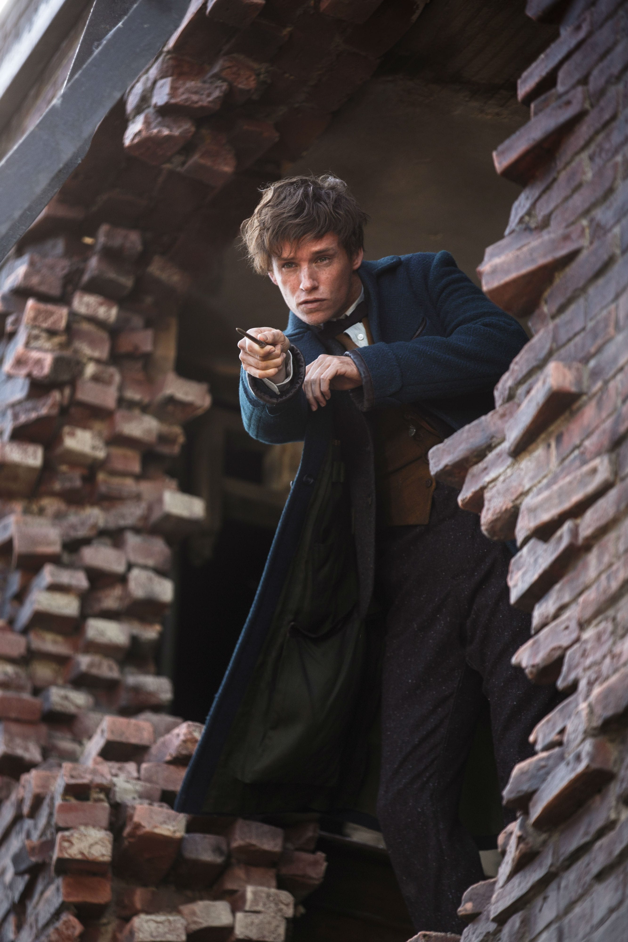 Fantastic Beasts And Where To Find Them Android Wallpapers - Eddie Redmayne Fantastic Beasts And Where To Find Them , HD Wallpaper & Backgrounds