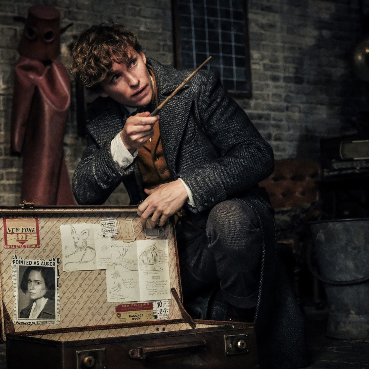 American - Fantastic Beasts And The Crimes Of Grindelwald Newt , HD Wallpaper & Backgrounds