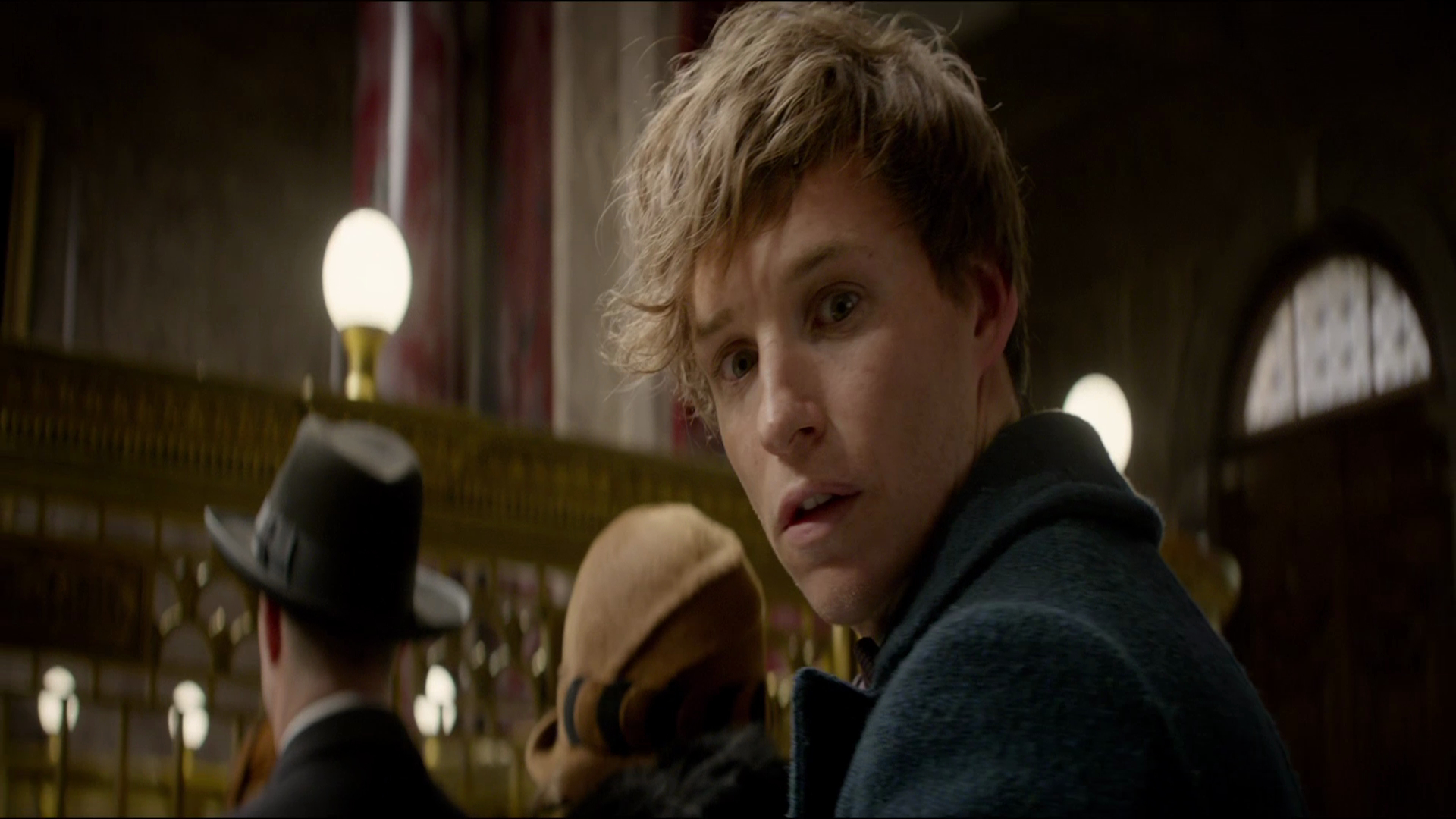 Fantastic Beasts And Where To Find Them Second Trailer - Newt Scamander , HD Wallpaper & Backgrounds