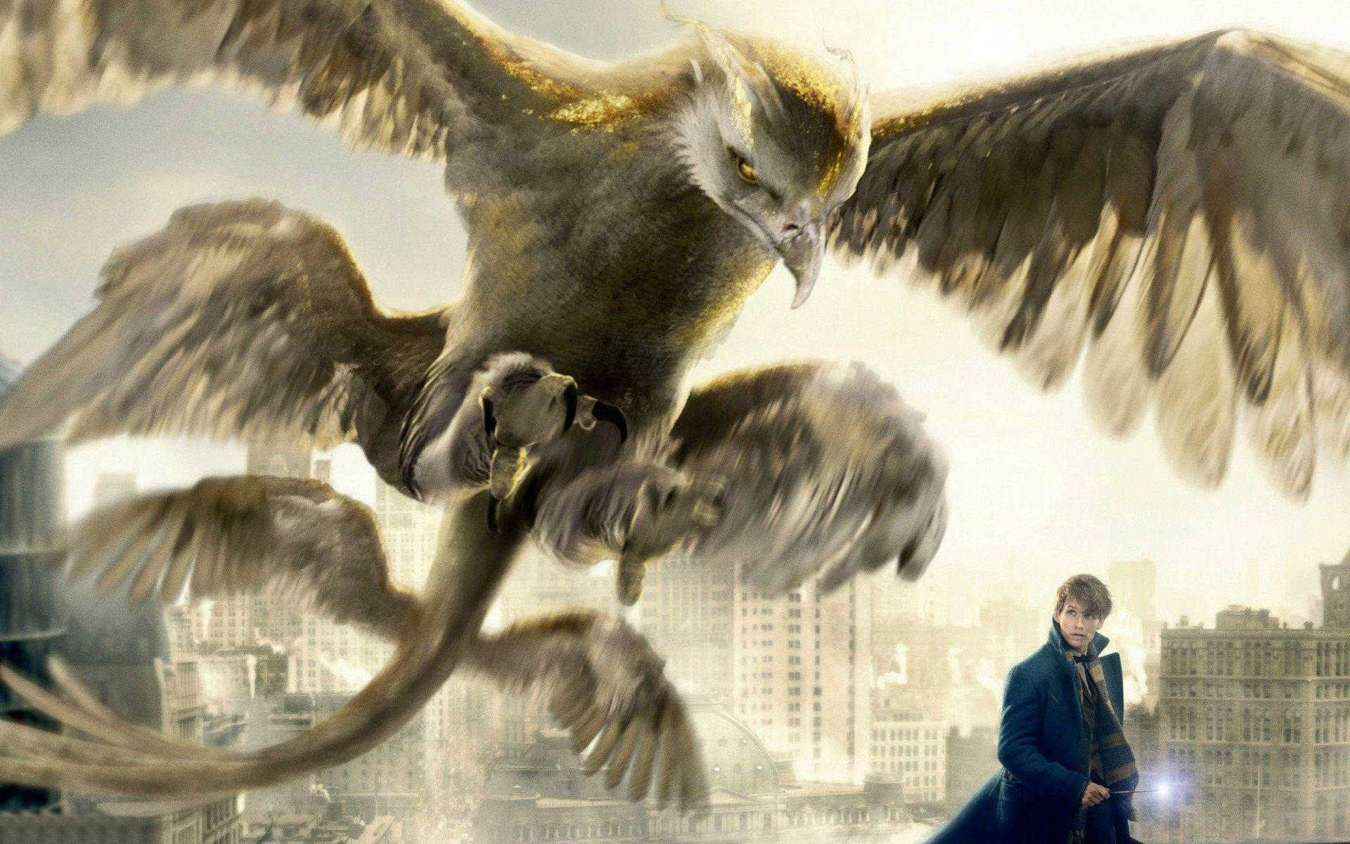 Fantastic Beasts And Where To Find Them Wallpapers - Eagle From Fantastic Beasts , HD Wallpaper & Backgrounds