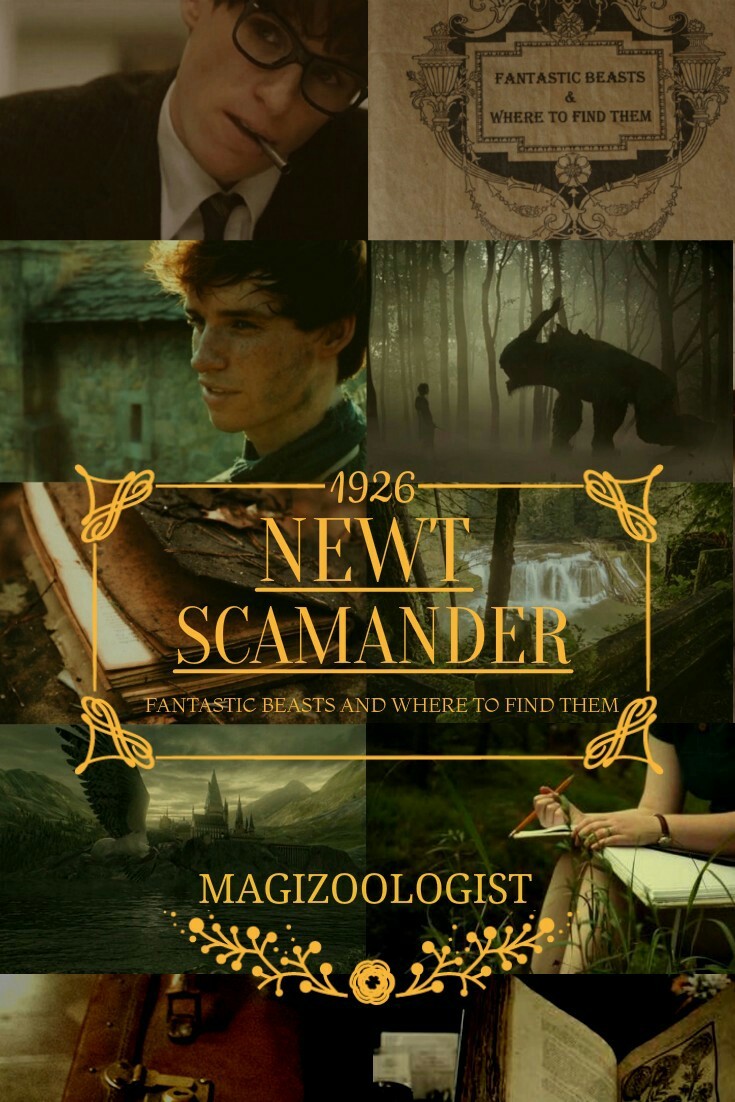 Harry Potter Inspiration › - Newt Scamander Wallpaper Iphone , HD Wallpaper & Backgrounds