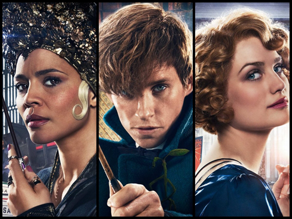 Meet The Characters Of Fantastic Beasts - Fantastic Beasts And Where To Find Them Imp Awards , HD Wallpaper & Backgrounds