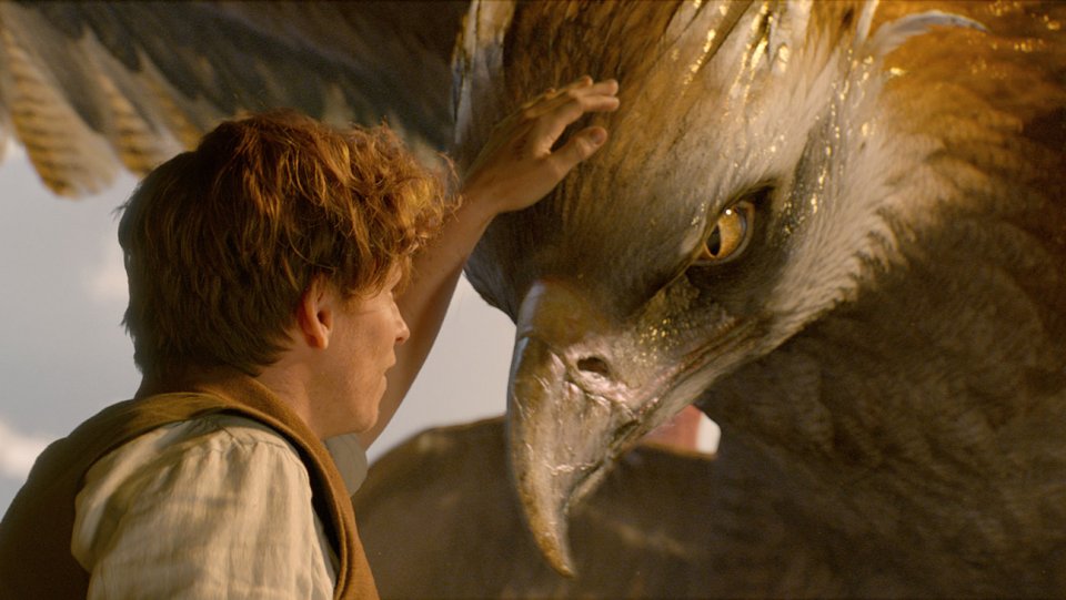 Thunderbird Creatures In Fantastic Beasts 1343400 Hd