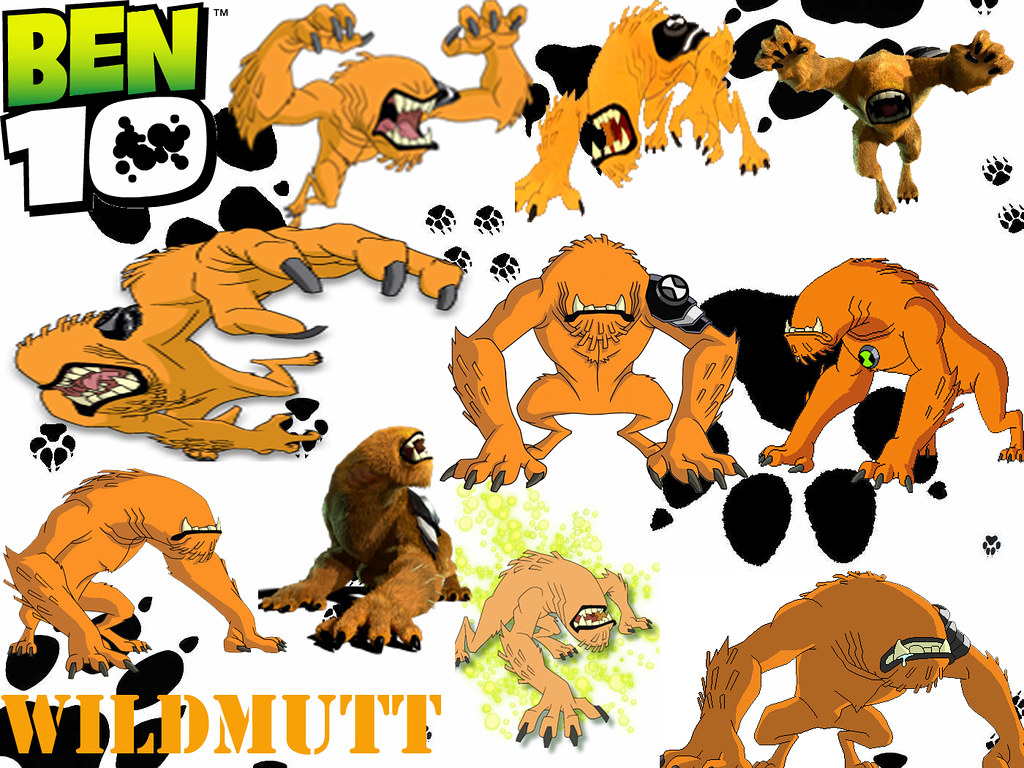 Ben 10 Wildmutt Wallpaper - Cartoon , HD Wallpaper & Backgrounds