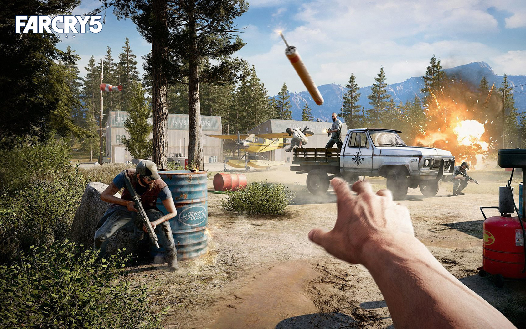 Far Cry 5 Bug , HD Wallpaper & Backgrounds