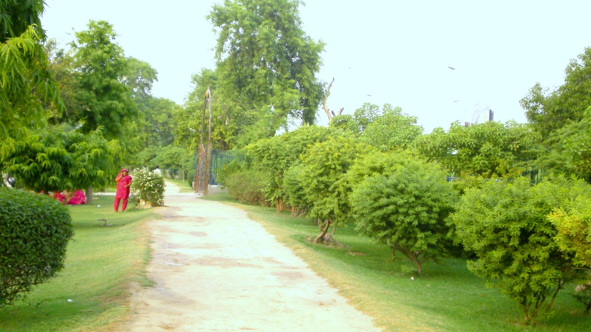 National Park Garden Nature Lahore Natural Grass Image - National Park Lahore , HD Wallpaper & Backgrounds