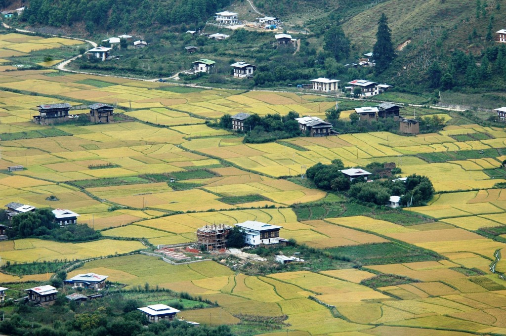 Bhutan - Agriculture Land In Bhutan , HD Wallpaper & Backgrounds
