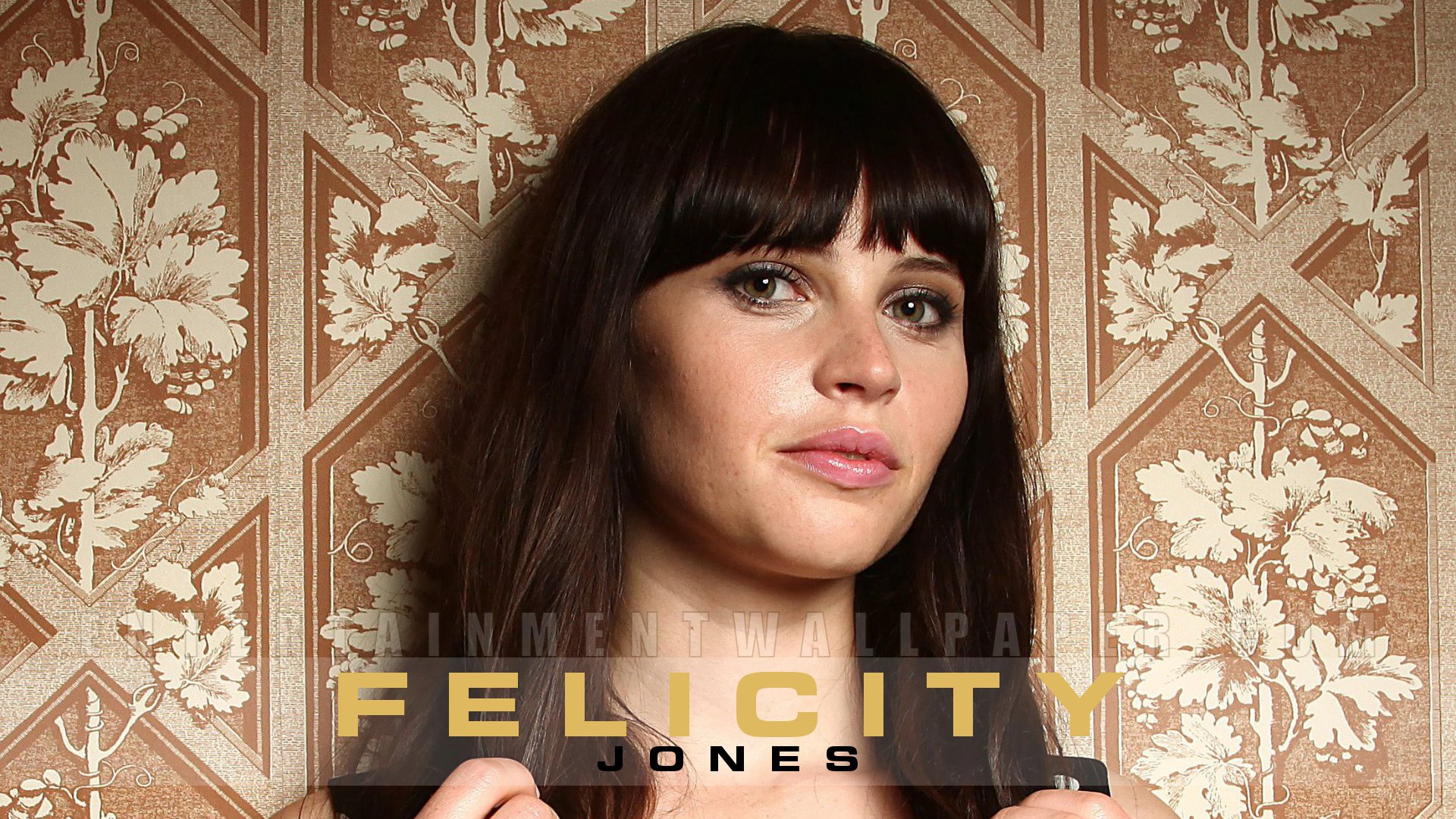 Felicity Jones Wallpaper - Album Cover , HD Wallpaper & Backgrounds