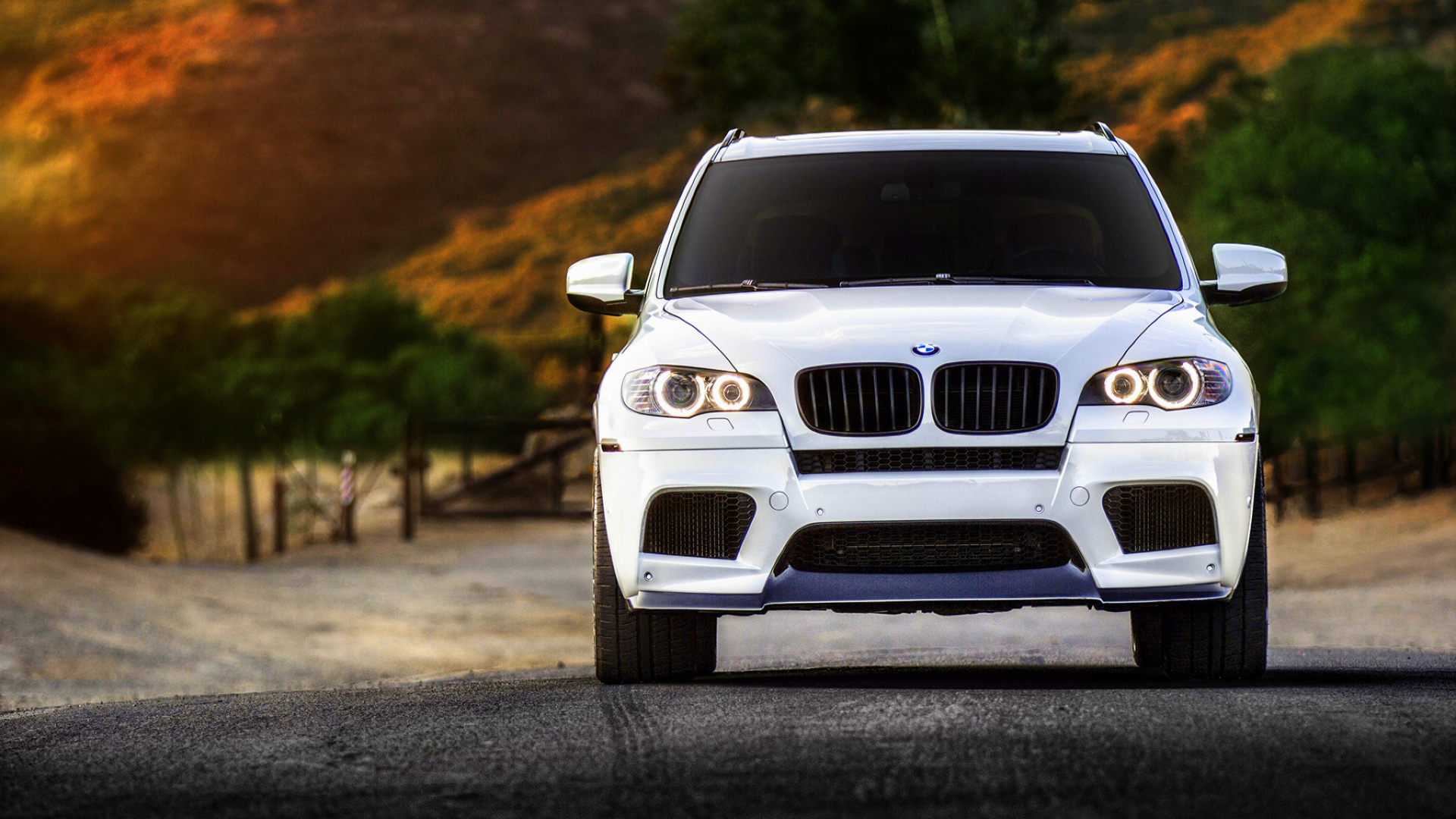 Bmw X6, Rim, Car, Personal Luxury Car, Bmw X5 E53 Full - White Bmw X5m 2013 , HD Wallpaper & Backgrounds