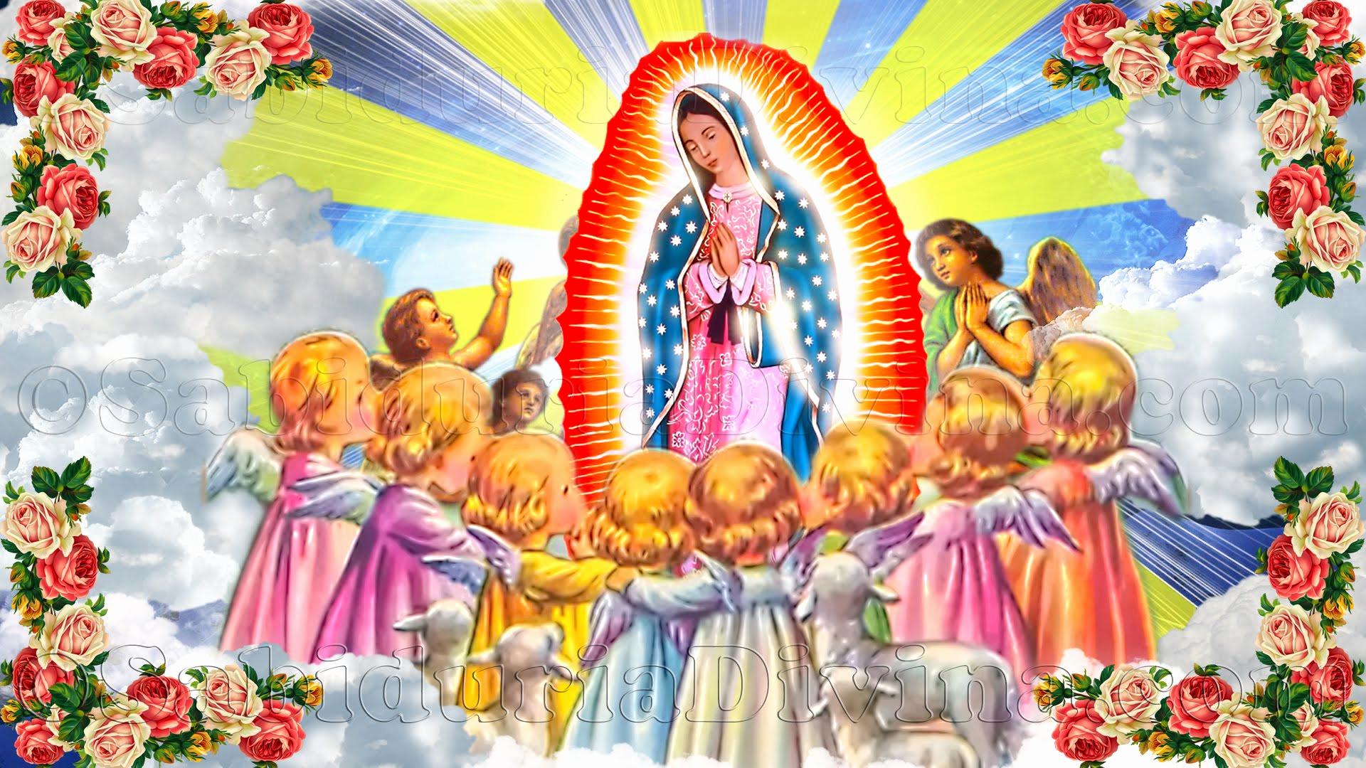 Virgen De Guadalupe Wallpapers 35 Pictures - Imagenes De De La Virgen De Guadalupe , HD Wallpaper & Backgrounds