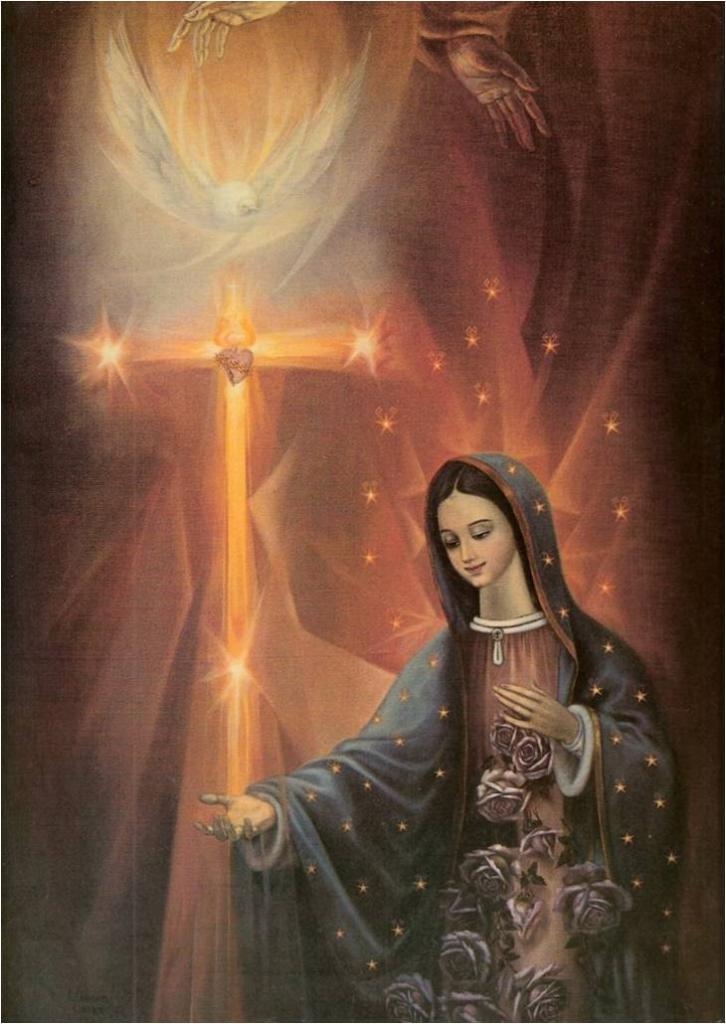Imagenes De La Virgen De Guadalupe - La Virgen Maria Y El Espiritu Santo , HD Wallpaper & Backgrounds