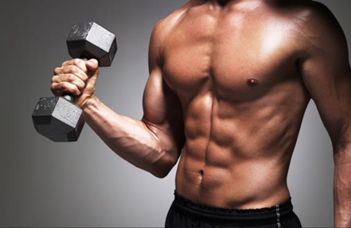 Suplemento Para Ganhar Massa Muscular - Laxogenin Results , HD Wallpaper & Backgrounds