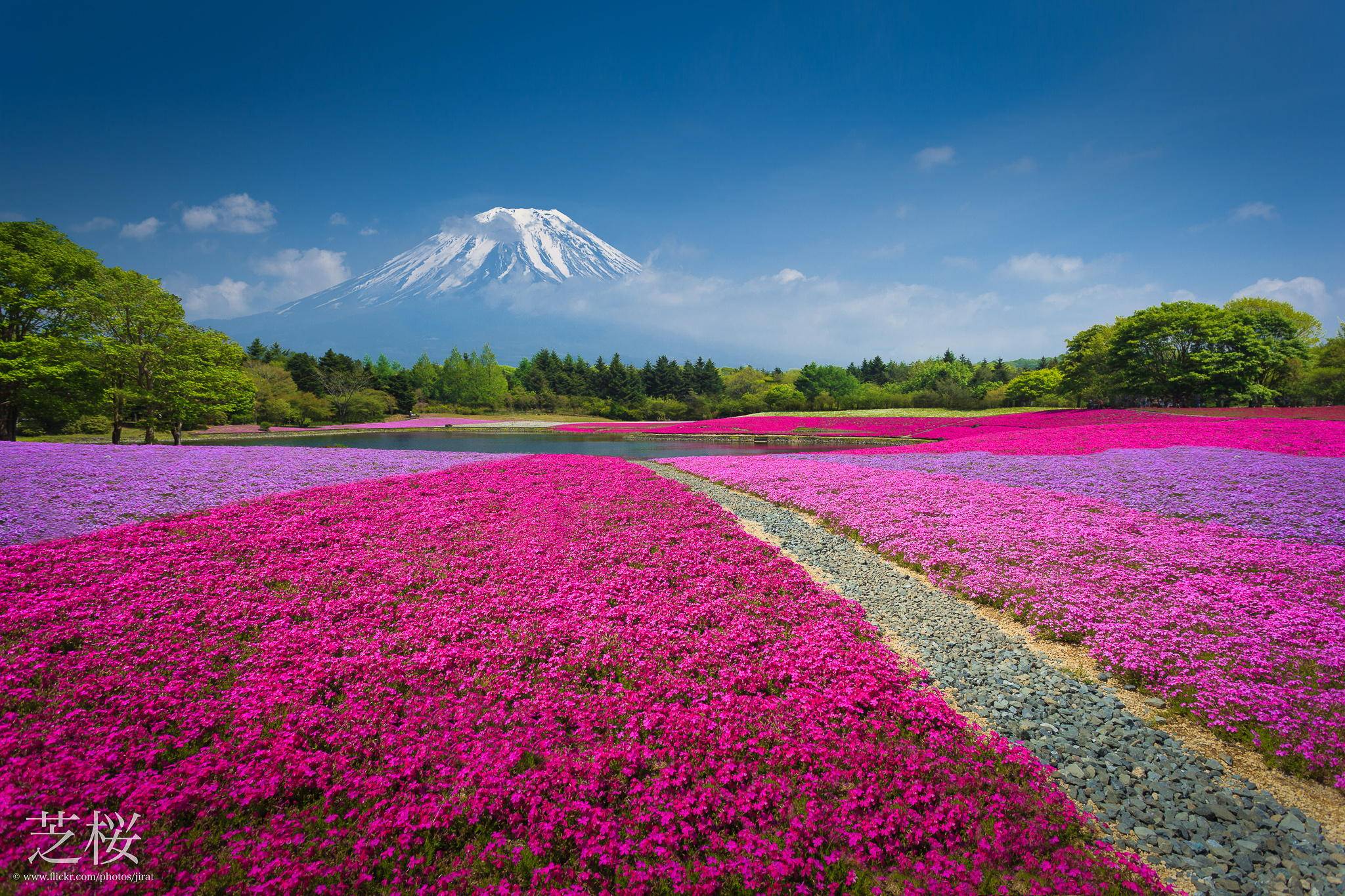 Mt Fuji - - Beautiful Landscape In Japan , HD Wallpaper & Backgrounds