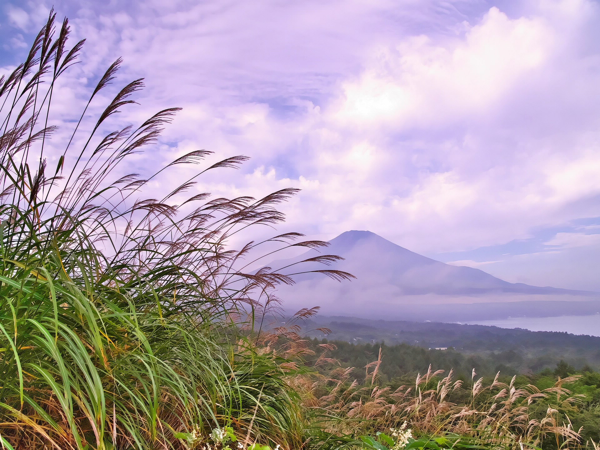 Mt Fuji - Sweet Grass , HD Wallpaper & Backgrounds
