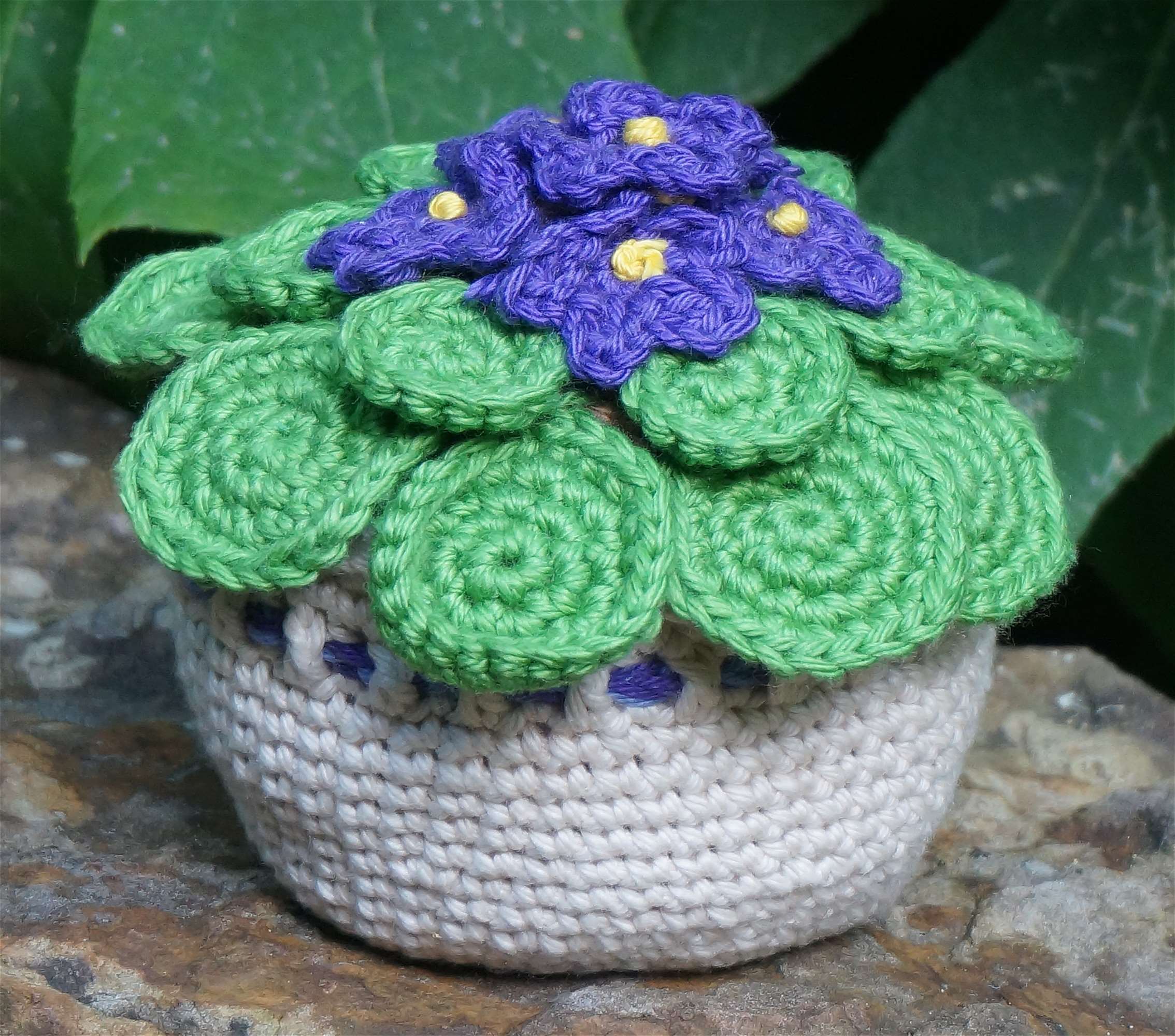 African Violet, Colorful, Craft, Crochet, Decor, Decoration, - Violetas Africanas En Crochet , HD Wallpaper & Backgrounds