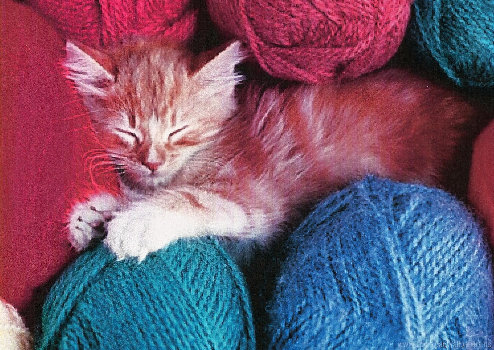 Download Original Size - Cat Play With Ball Of Yarn Pink , HD Wallpaper & Backgrounds