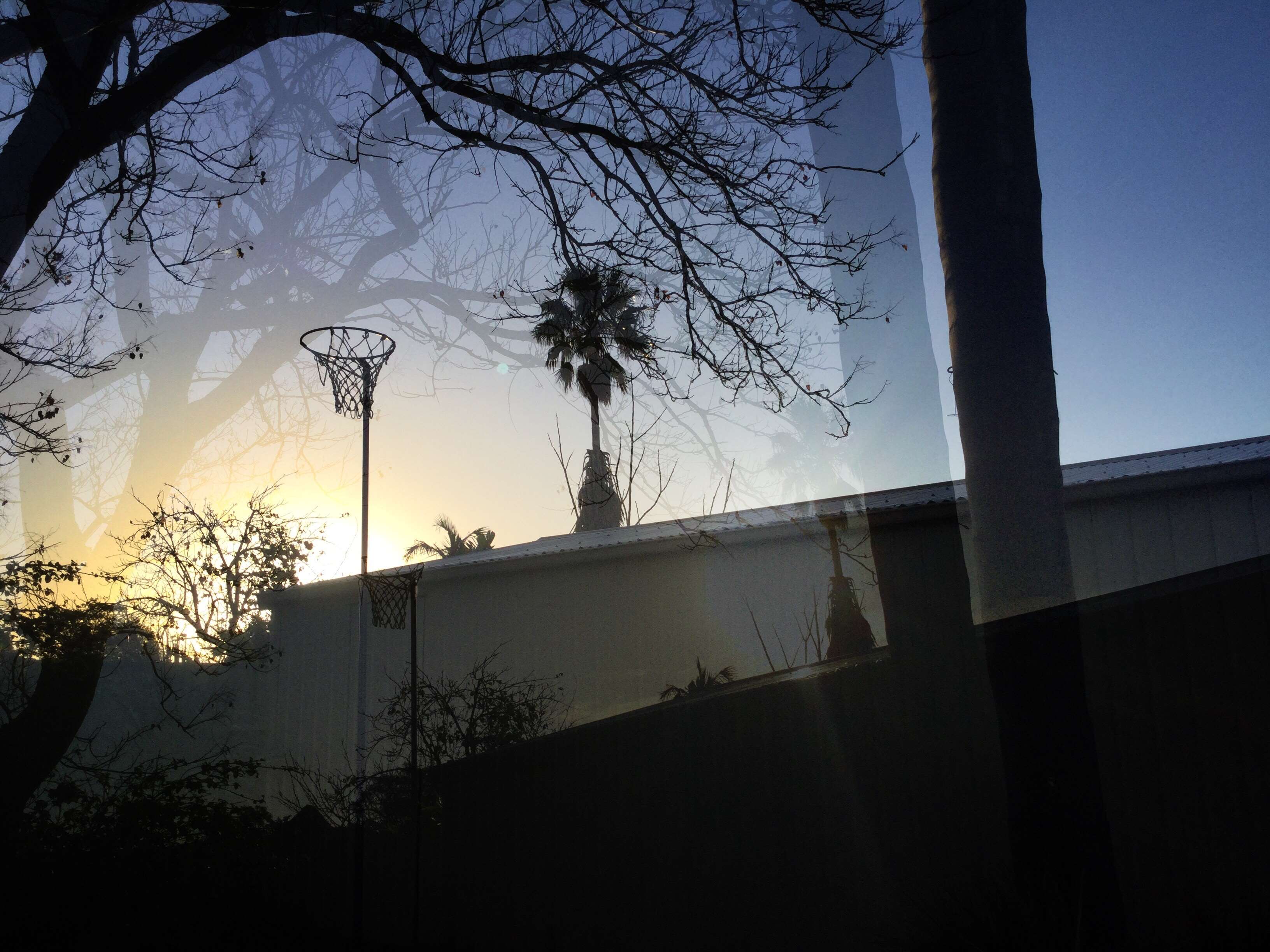 Backyard, Evening Sun, Photo Editing, Tree Wallpaper - Architecture , HD Wallpaper & Backgrounds