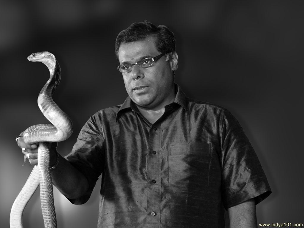 Ashish Vidyarthi Wallpaper - Serpent , HD Wallpaper & Backgrounds