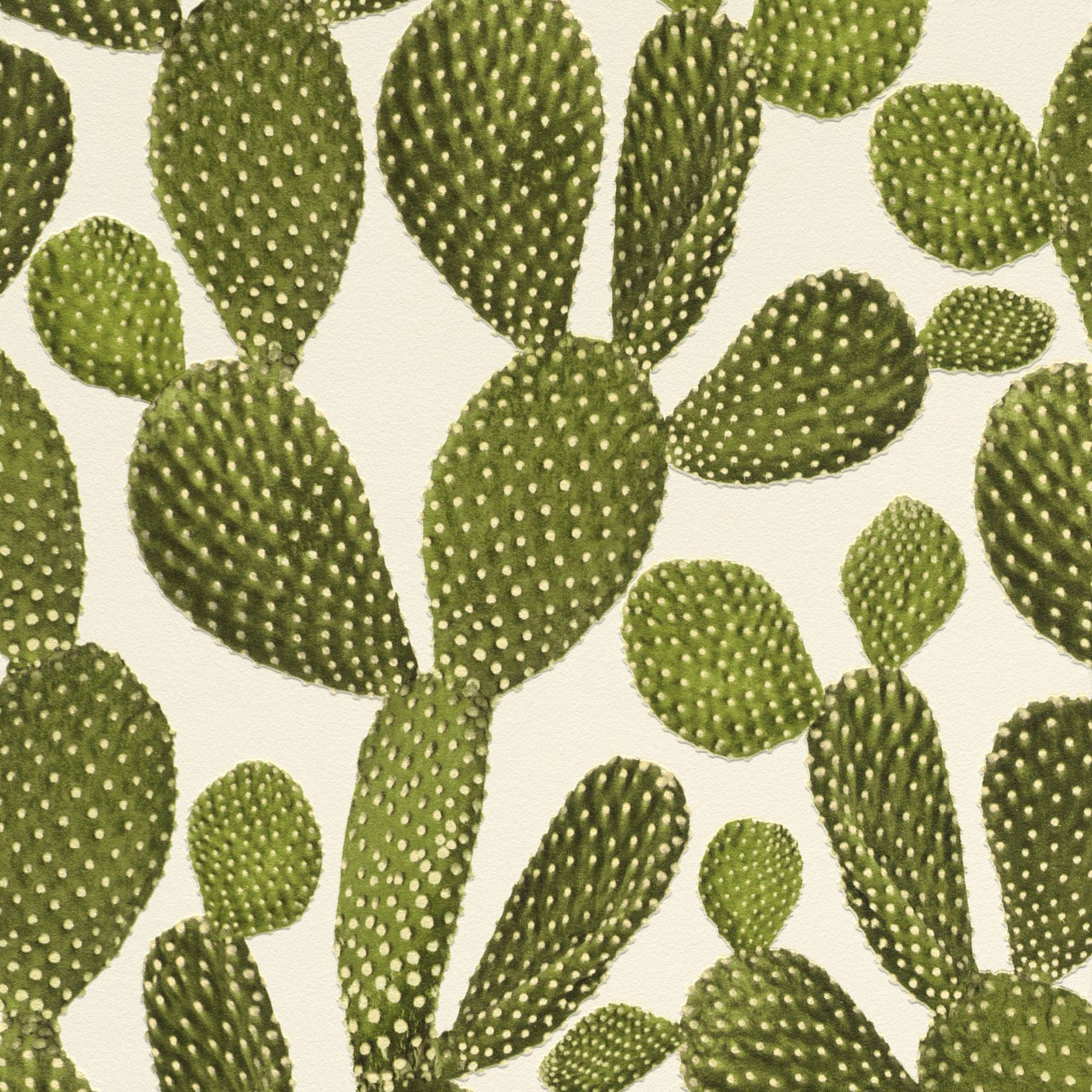 Rasch Plants Wallpaper - Tapeta Ścienna W Kaktusy , HD Wallpaper & Backgrounds