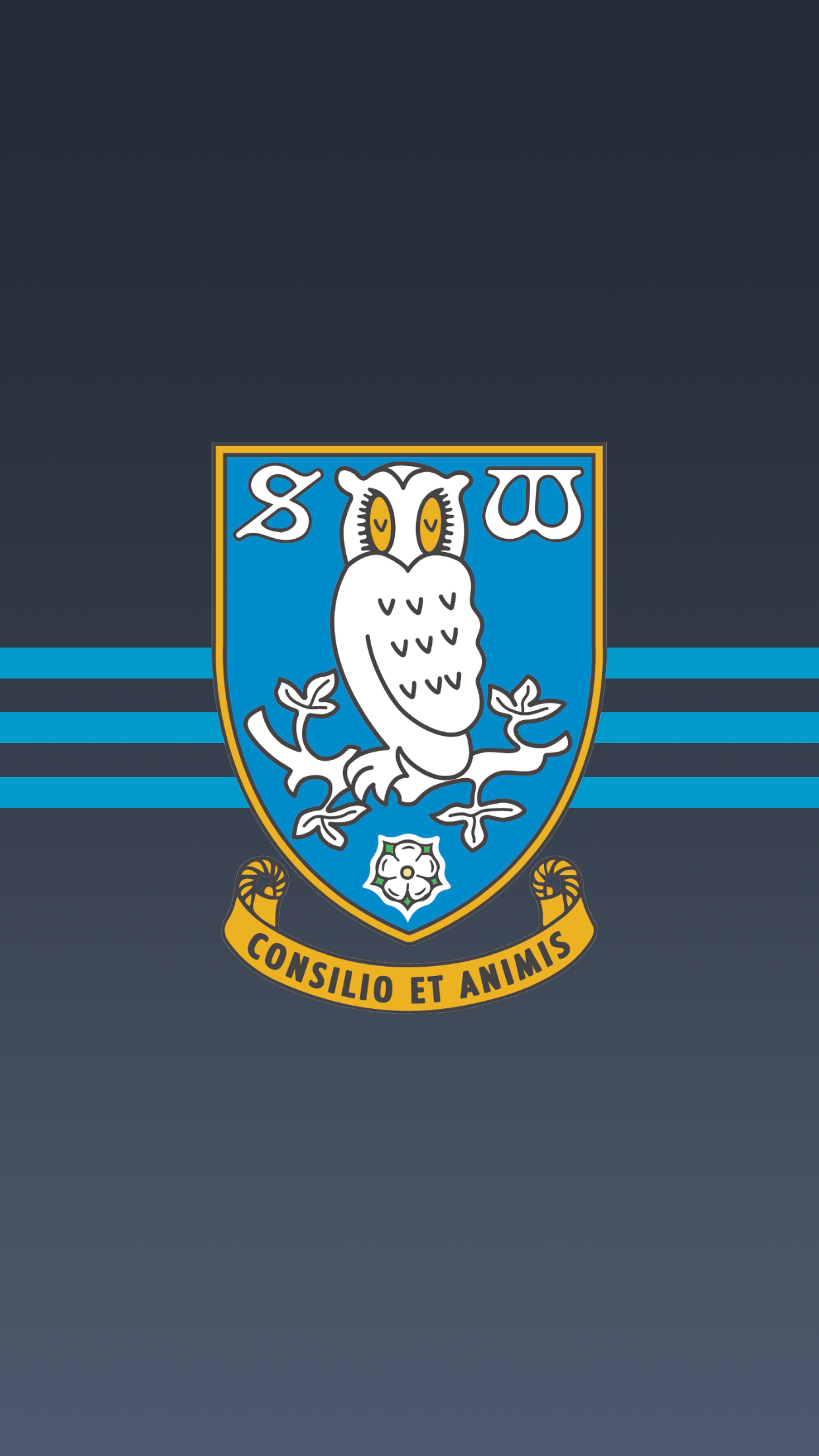 Sheffield Wednesday - Sheff Utd V Sheff Wed , HD Wallpaper & Backgrounds