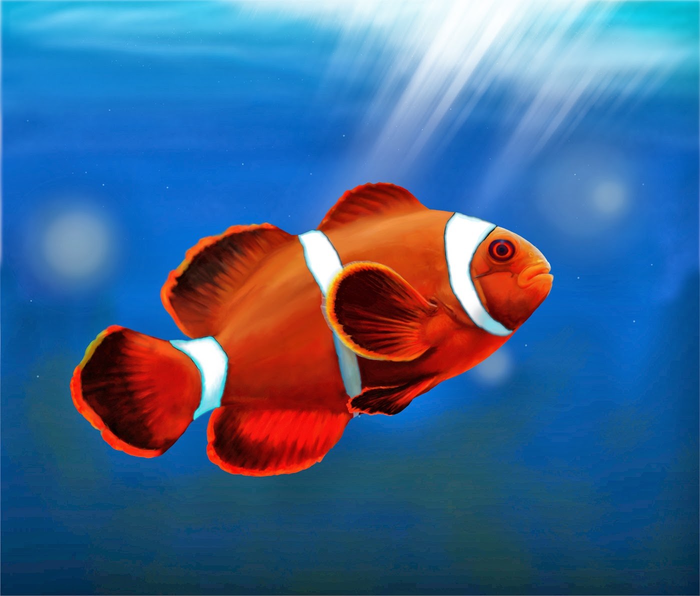Clown Fish Wallpaper Hd - Download Gambar Ikan Hias , HD Wallpaper & Backgrounds