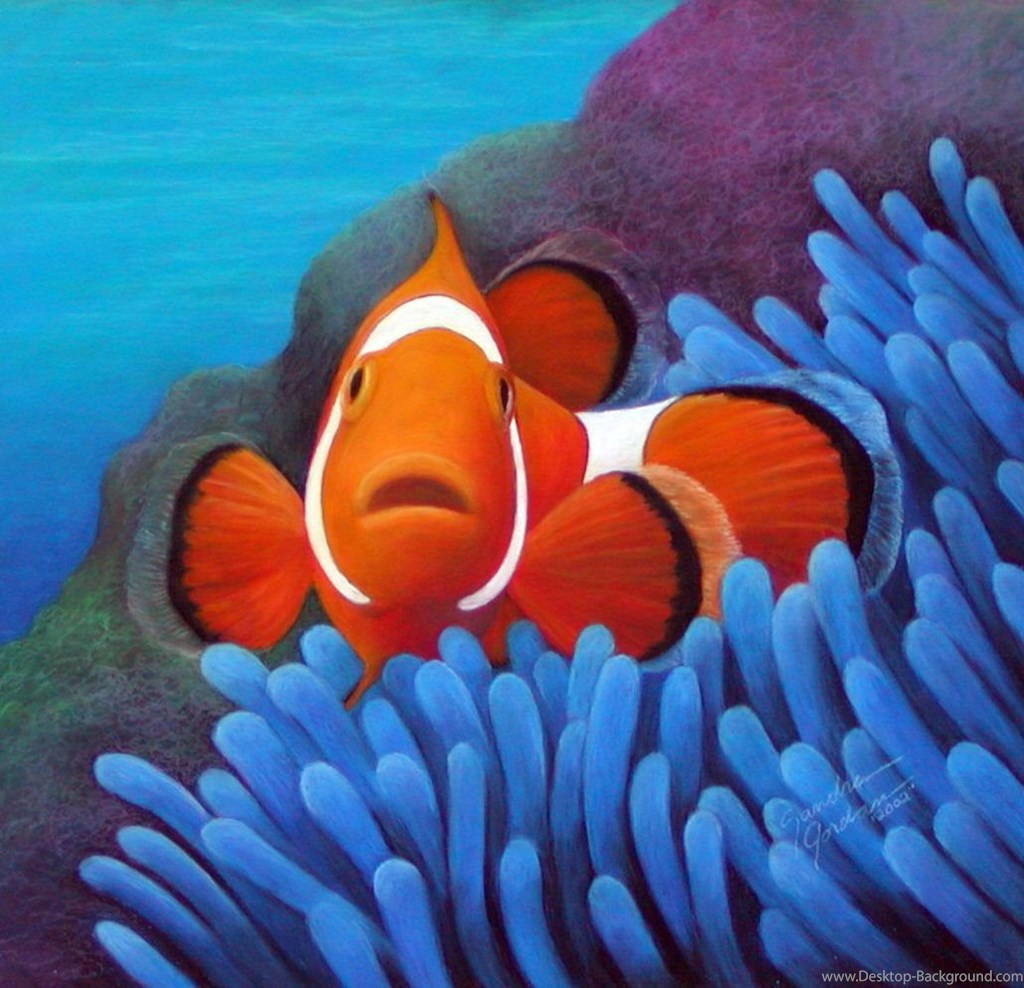 Clown Fish Habitat Drawing , HD Wallpaper & Backgrounds