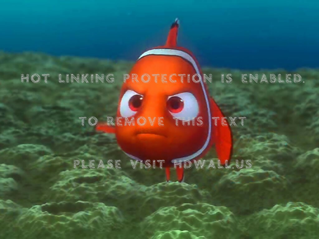 Cartoons Disney Company Finding Nemo Clownfish Normal - Finding Nemo , HD Wallpaper & Backgrounds
