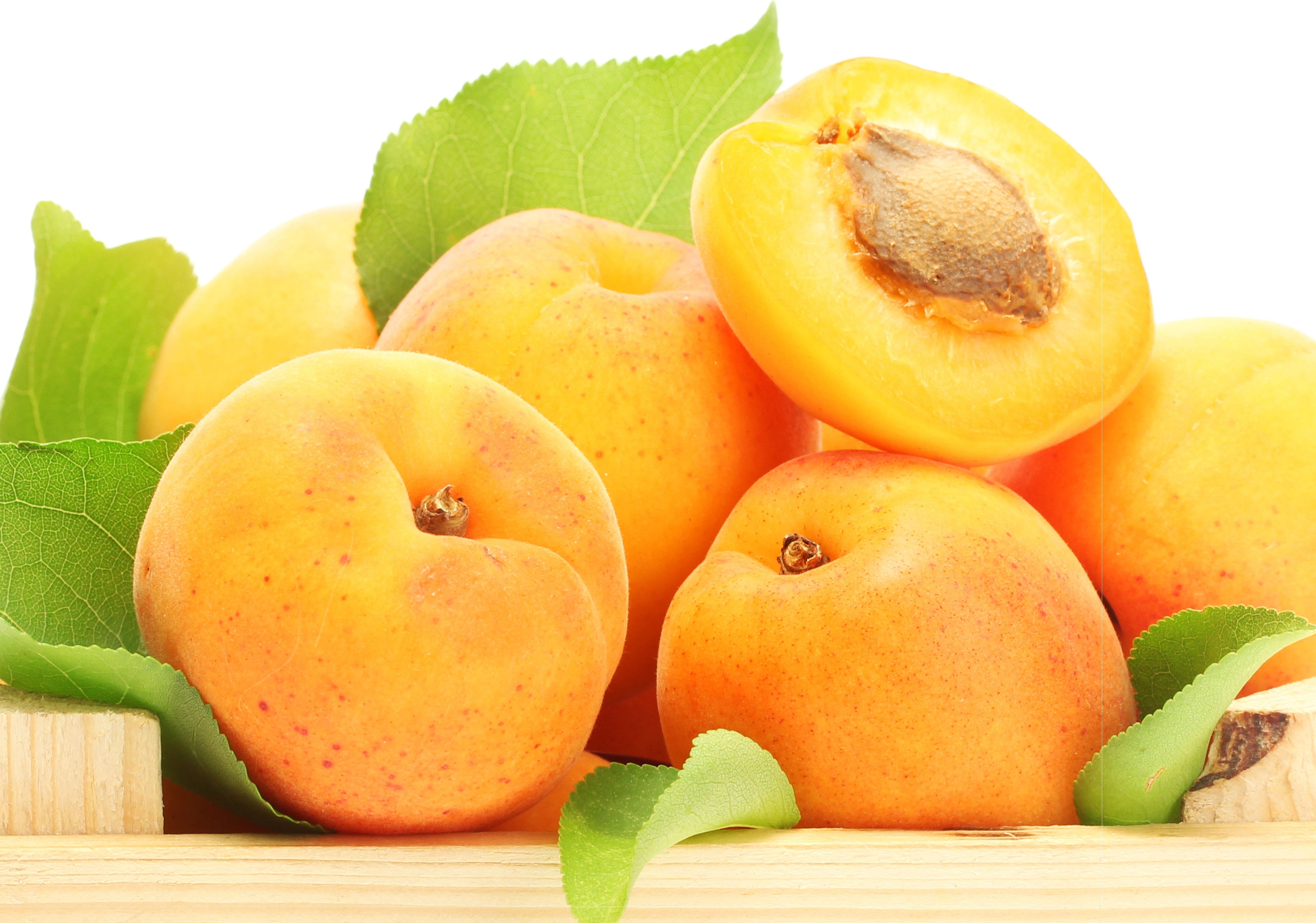 Apricot, Fruit, Stone Wallpaper And Background - Apricot Fruit Hd , HD Wallpaper & Backgrounds