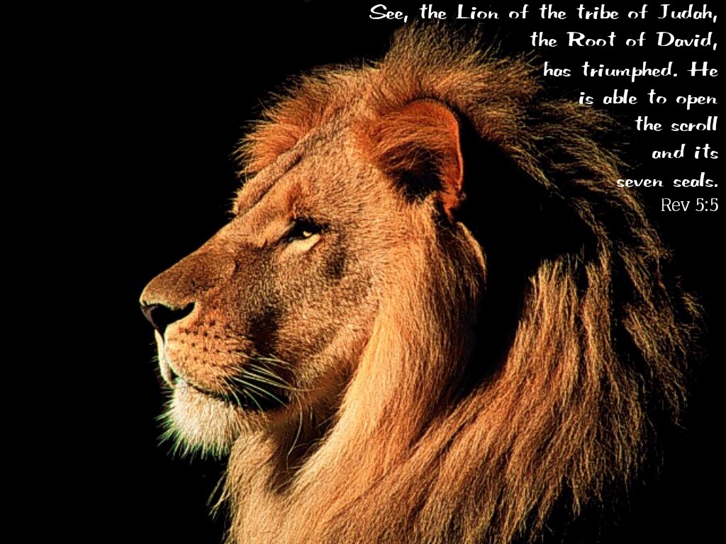 Lion Wallpaper Free Download - Power Of Jesus , HD Wallpaper & Backgrounds