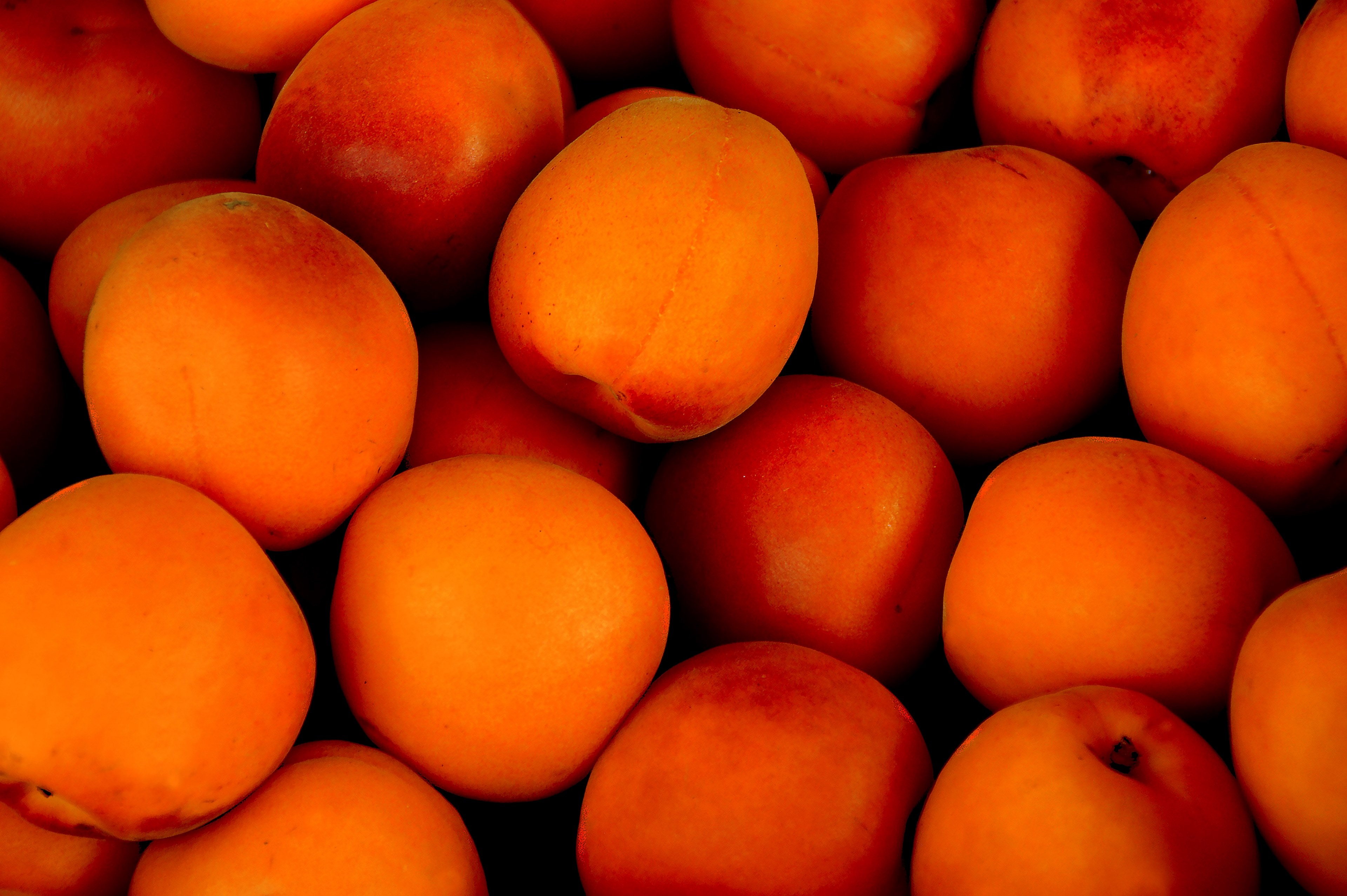 #3840x2554 #apricot #tropical Fruit #fruit #fruits - ทรอ ปิ คอ ล ผล ไม้ , HD Wallpaper & Backgrounds