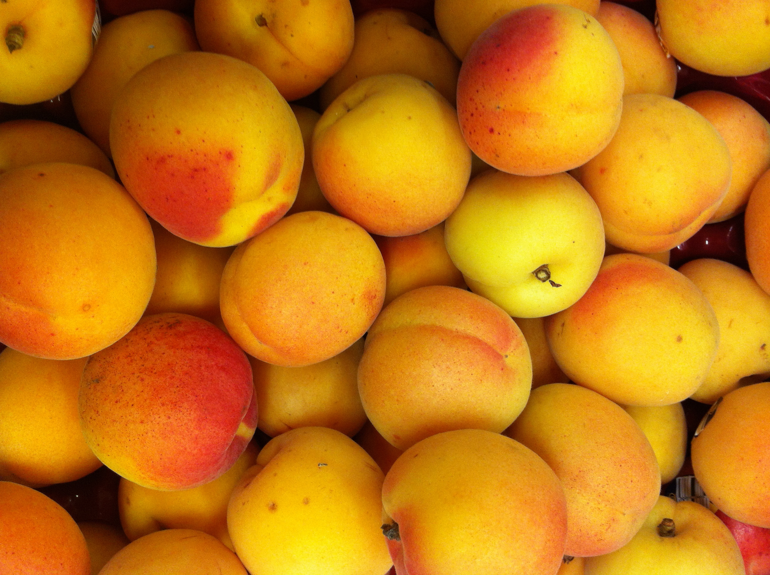 Apricot Best Hd Wallpaper - Apricots Fruit , HD Wallpaper & Backgrounds