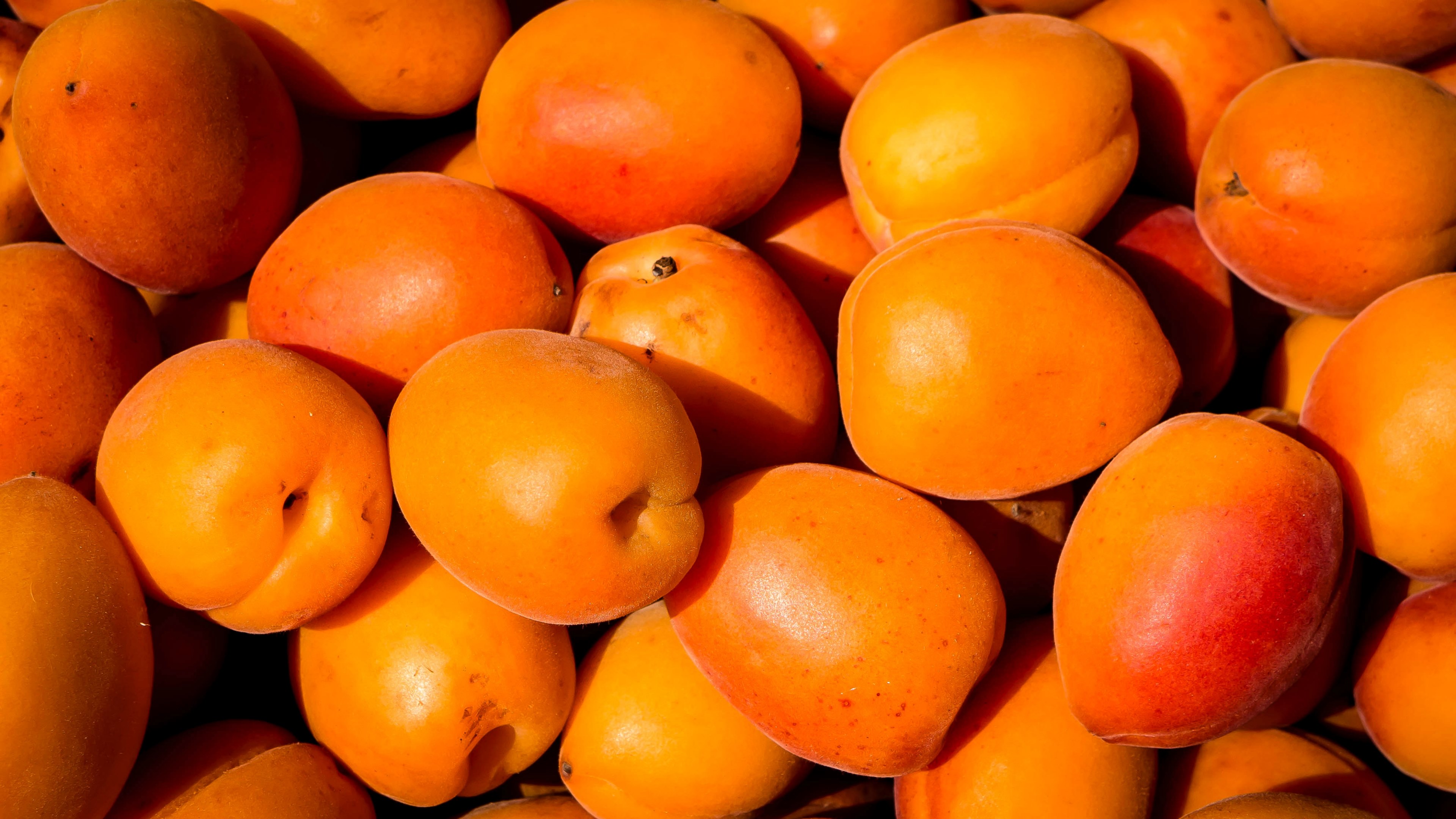 #3840x2160 Fruit Apricot Orange And Fresh Hd 4k Wallpaper - Familia De Las Mandarinas , HD Wallpaper & Backgrounds