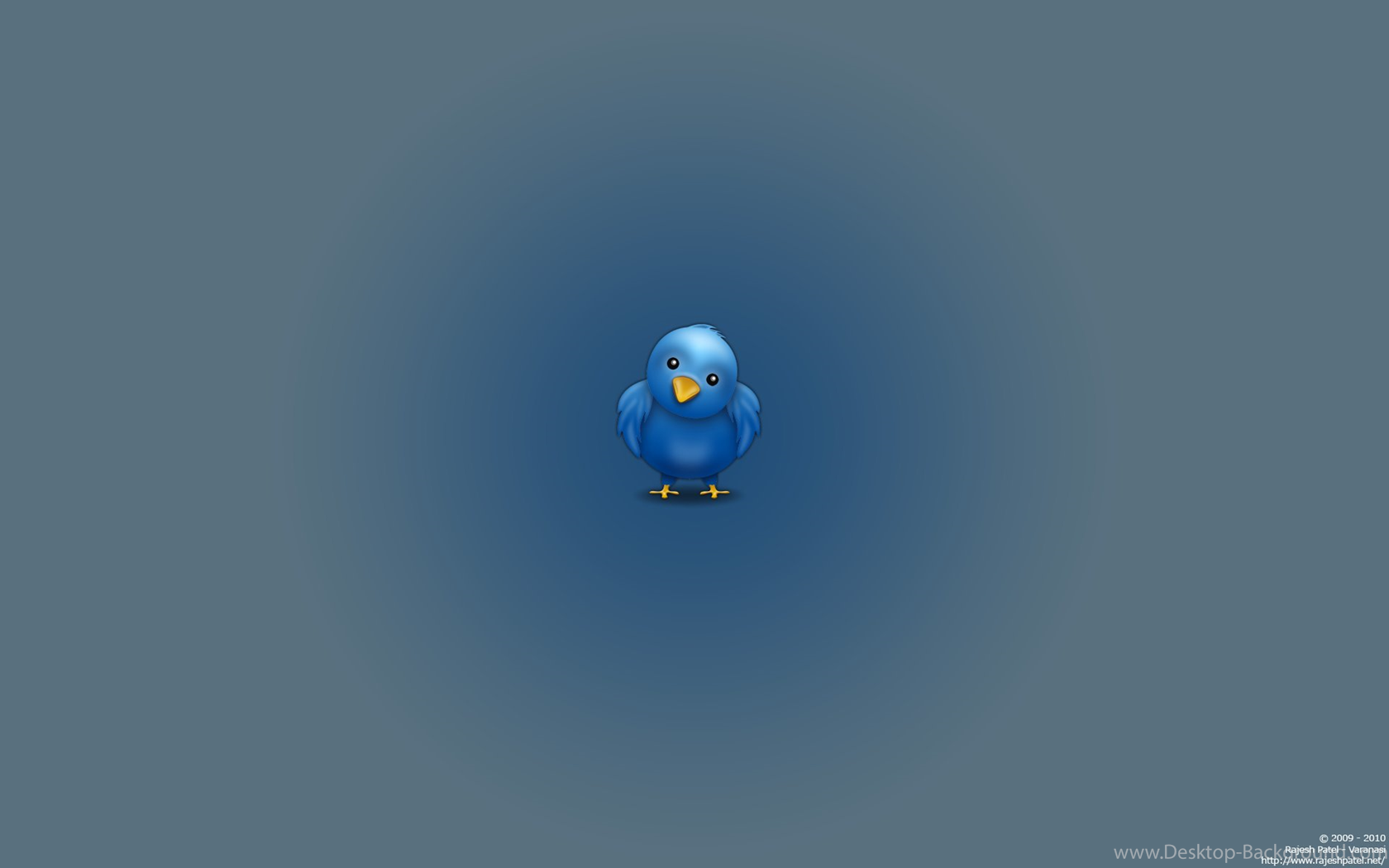 Widescreen - Twitter , HD Wallpaper & Backgrounds