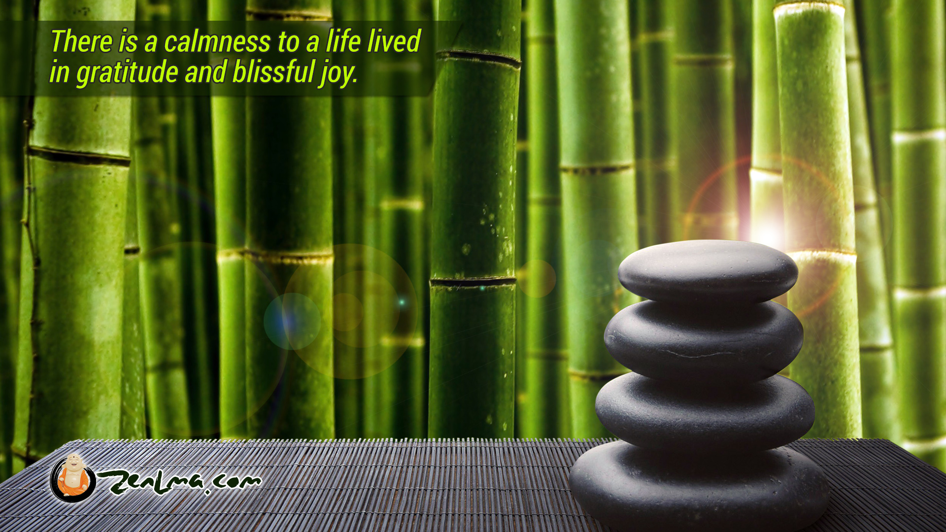 Dimension - 1600×900 - Dimension - 1024×768, Zenlama - Close Up Of Bamboo , HD Wallpaper & Backgrounds